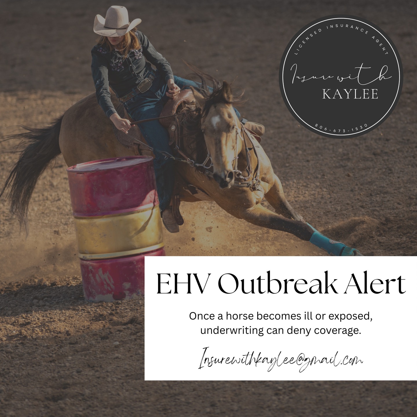 🚨 EHV Outbreak in Texas 🚨
We’re praying for all the horses and owners affected by this.
This is a strong reminder that insurance must be in place before a horse becomes ill or exposed. Once symptoms start, underwriting can deny coverage.
If you’ve been thinking about getting mortality coverage, now is the time to do it before anything changes with their health.
If you need help or a quote, I’m here. Stay safe, Texas. 🤎
https://www.insurewithkaylee.info/
#EquineInsurance #EquineCoverage #InsureWithKaylee