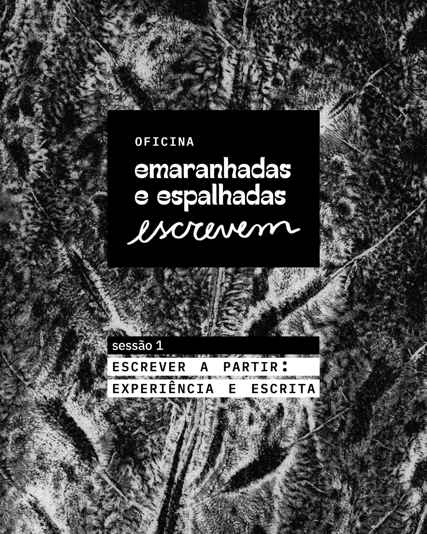 Na primeira sessão dessa oficina ministrada por Paula de Oliveira Camargo, vamos começar da vida antes das palavras. Escrever a partir da experiência é deixar que corpo, memória, sensações e línguas atravessem o texto, fazendo da escrita um gesto vivo.
Nesse encontro, trazemos para a roda trabalhos de autoras que escrevem com a própria vida como terreno fértill: Gloria Anzaldúa, Annie Ernaux, Elena Ferrante, Saidiya Hartman, Marília Garcia, Sylvia Molloy e Vitor Chiodi, entre outras. Vamos experimentar o texto como lugar de escuta do que sentimos, lembramos, carregamos, inventamos.
Essa atividade integra o percurso que antecede a quinta edição da Miolo (2026), dedicada ao tema fazer-com plantas e fungos. A oficina é aberta a todas as pessoas interessadas em experimentar outros modos de escrita, com ou sem produções prévias. Para inscrições e mais informações, envie um email para humusidades@gmail.com
.
.
.
design por @isisdaou a partir de monotipia vegetal