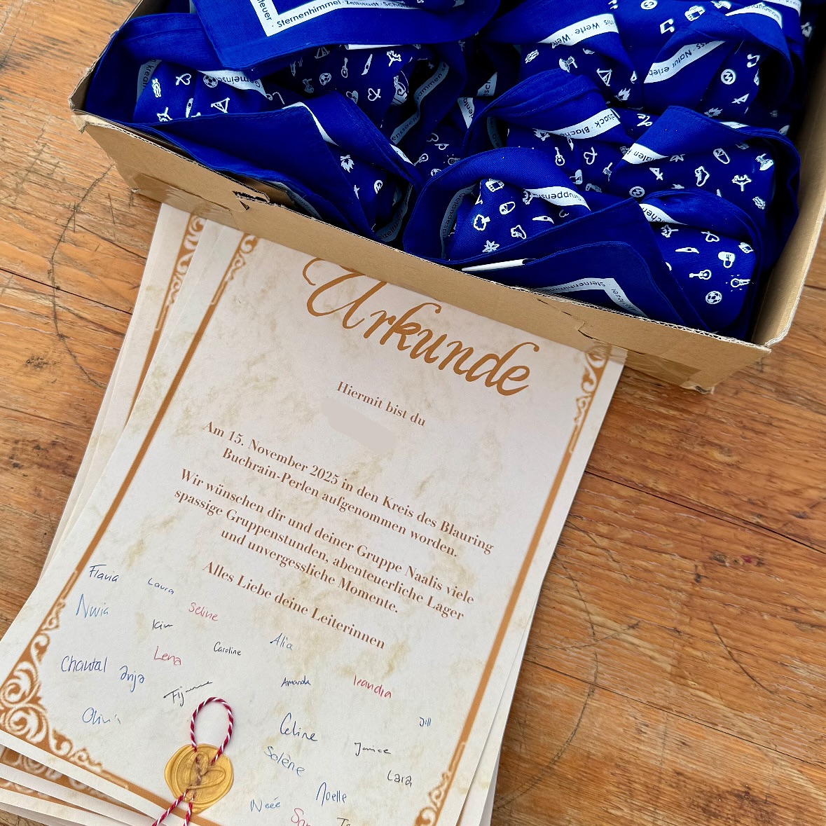 Aufnahmescharanlass 2025 📸
Gestern durften wir 15 neue Blauringmädchen in unserer jüngsten Gruppe, den Naalis, willkommen heissen. Beim gemeinsamen Scharanlass mit anschliessender Aufnahmezeremonie wurden die neuen Mädchen feierlich in unsere Schar aufgenommen, begleitet von viel Freude, Apéro und guter Stimmung.🫧🌼