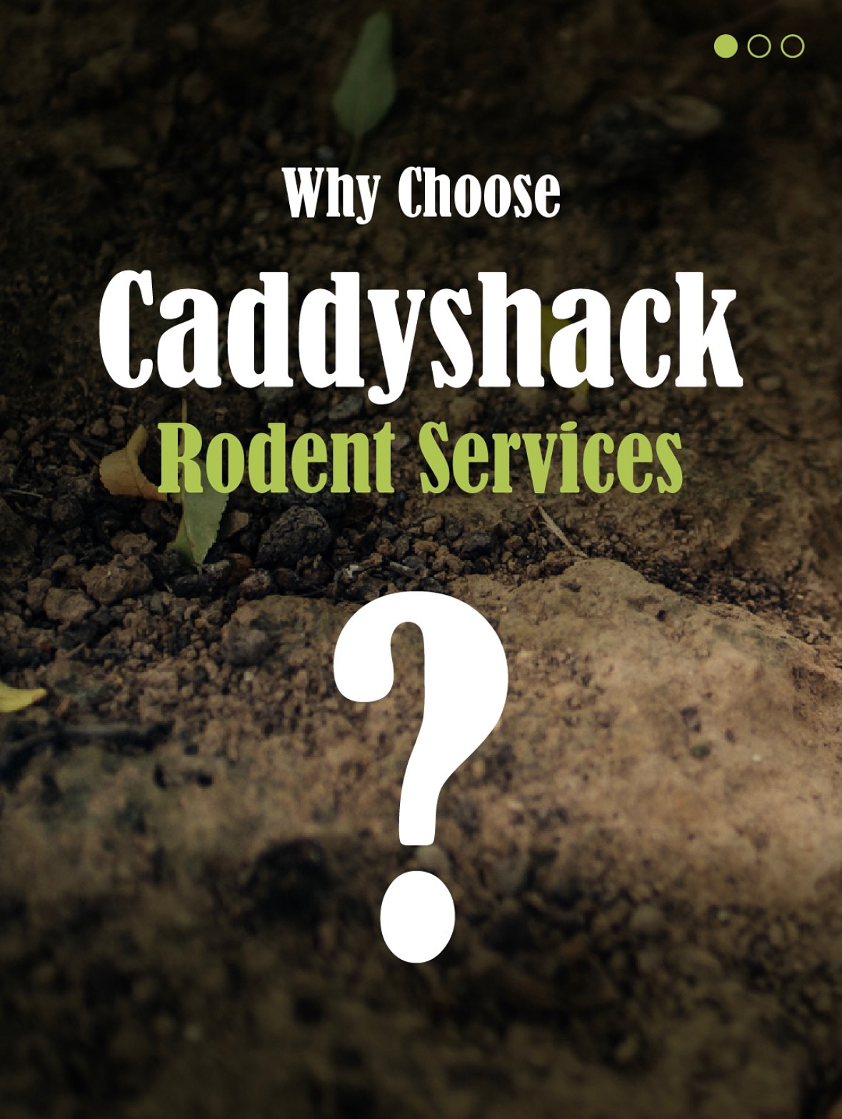 Why choose Caddyshack Rodent Services?
Safe. Effective. 100% Poison-Free.
Protect your crops, landscapes, and property the right way. ๐ฑ
๐ North & Central Valley โ Brian: (209) 564-8207
๐ South Valley โ Gilbert: (559) 395-2537
Call today to book your service!
#rodentcontrol #rodentsofinstagram #pestcontrol #agservices #agriculture #farming