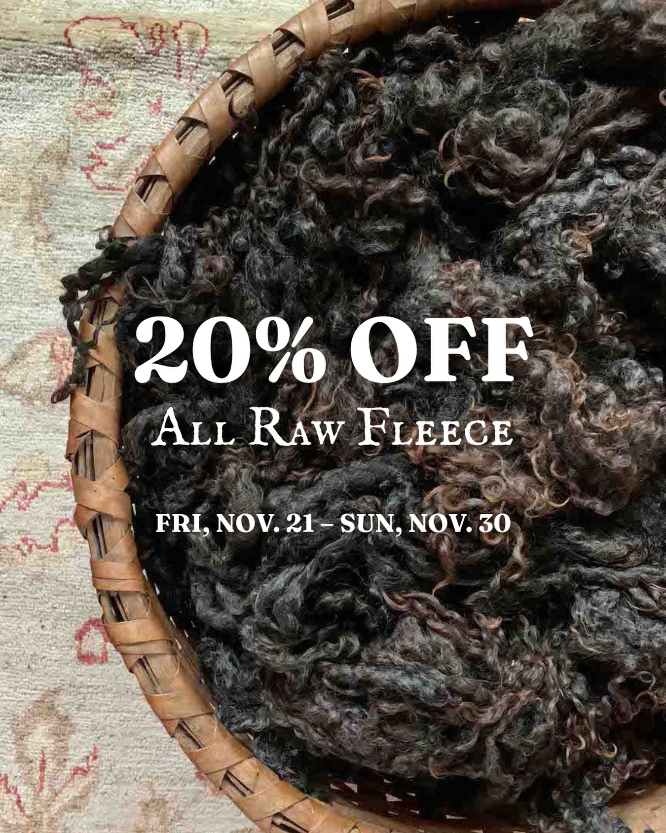 The wool keeps growing but our fleece room does not! 🐑 To make room for fresh fleece, we’re offering our FIRST EVER SALE, selling all existing raw fleece at 20% OFF‼️
These are full, shorn fleeces from our heritage breed sheep, each one packed with character, luster, curly locks, and creative potential✨ Whether you’re a spinner, felter, or fiber artist who loves working straight from the source, this is your chance to snag a whole fleece at a very rare discount 🤑
Visit our website or Etsy shop before November 30th for this once in a blue moon SALE of our prized rare breed fleeces 🐑✨
#rawfleece #fiberart #wool #sheepshearing #woolfleece #rarebreed #fiberartist #fibercraft #handspunyarn #felting #washedlocks #sheepfarm #sale #blackfridaysale
