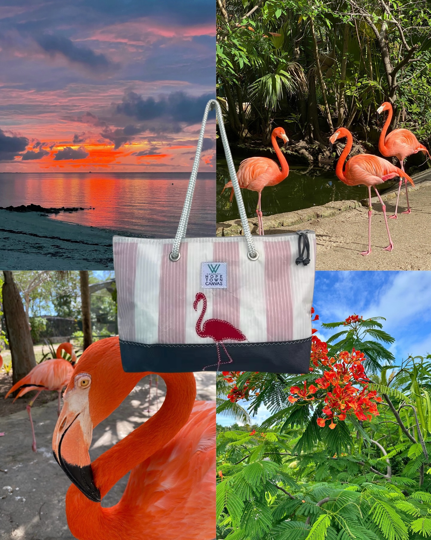 The bag & the inspo 🤩
Which one is your favorite? Let us know in the comments!!
P.S… these bags are all available on wsailbags.com 😉