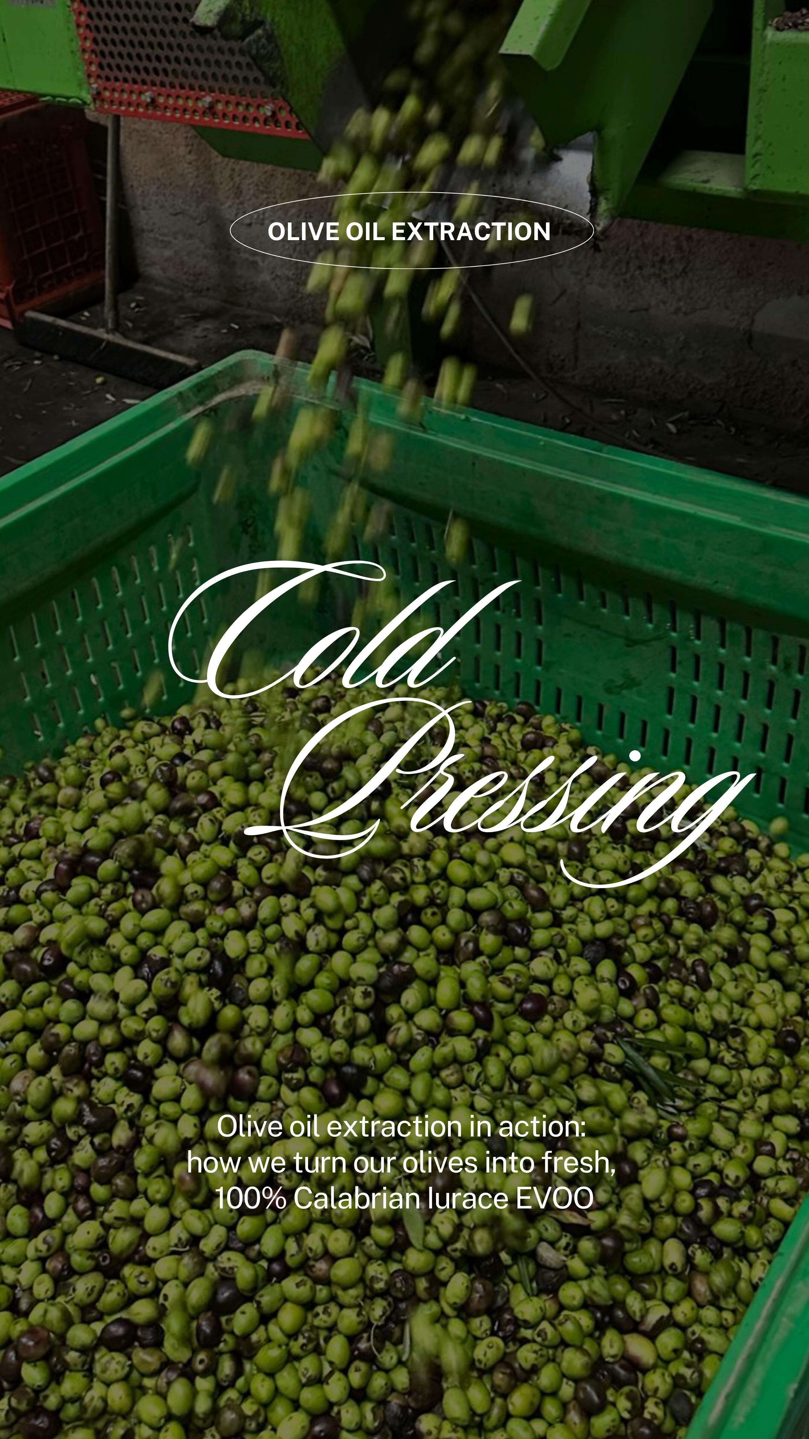 🍃 È tempo di raccolta!
Stiamo raccogliendo le olive e trasformandole in olio extravergine 100% calabrese con spremitura a freddo. 🇮🇹
Un piccolo assaggio della nostra terra e della nostra tradizione, il nostro olio sarà presto acquistabile online. 💚⏳
#Iurace #OlioExtravergine #ColdPressing #Calabria #EVOO #FoodLovers #HealthyEating