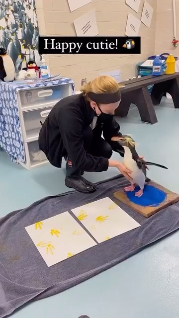 He does things his own way...🙃
#art #bird #duck #ducksofinstagram #olaftheduck