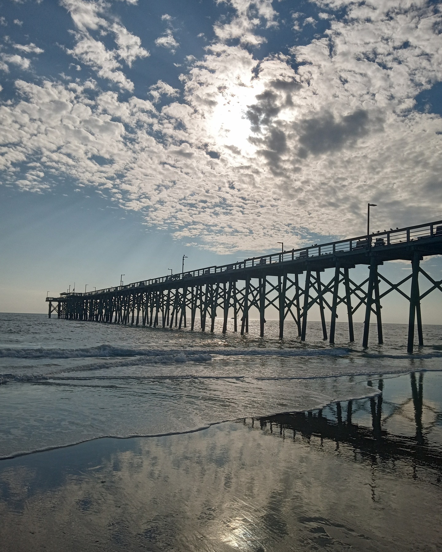 Lisa, I remember the first time you saw the ocean. I took you to a beach at Wildwood, New Jersey just before we got married. And so for the last time yesterday I took you to Oak Island Pier where we spent so many days and evenings with friends and family . Now you will never miss another beautiful sunset. Your beloved Annie, Forest and Nemo by your side. You are forever in my heart. ❤️