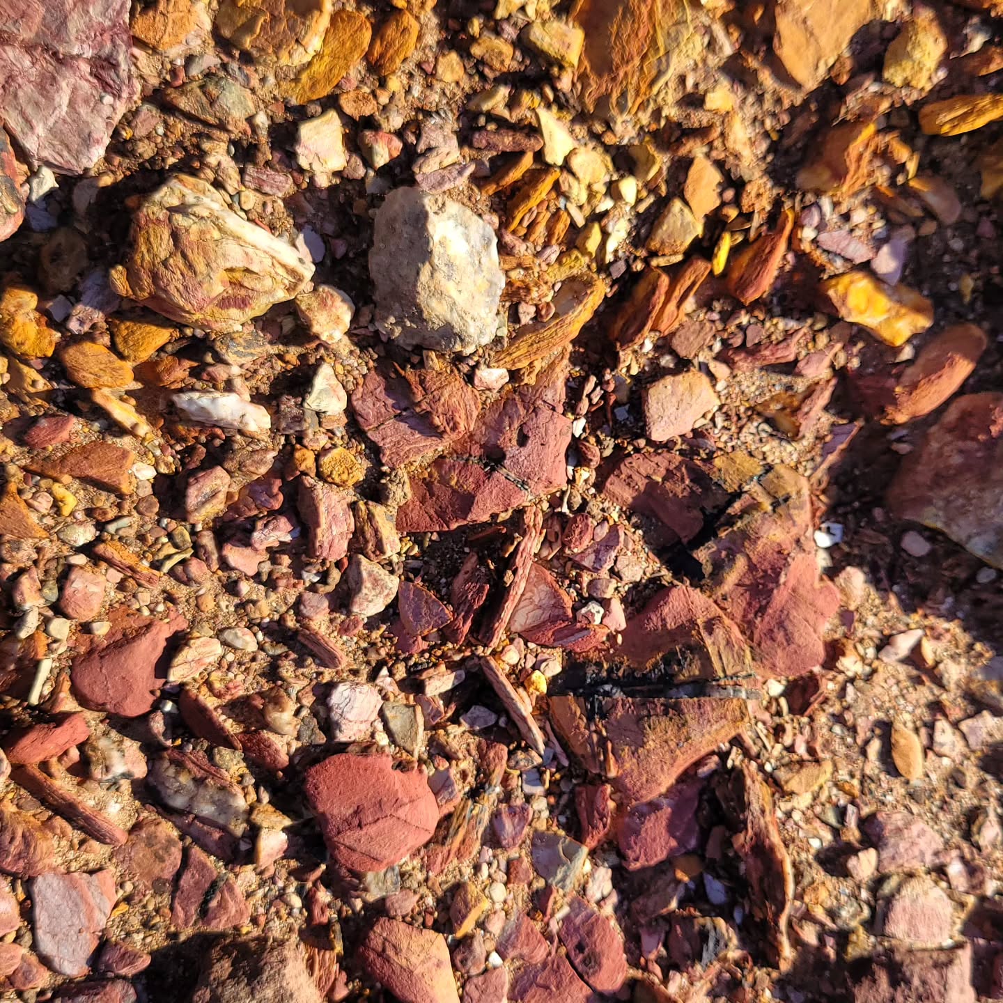 Coast path colours
#geologyrocks
#rocks
#colour