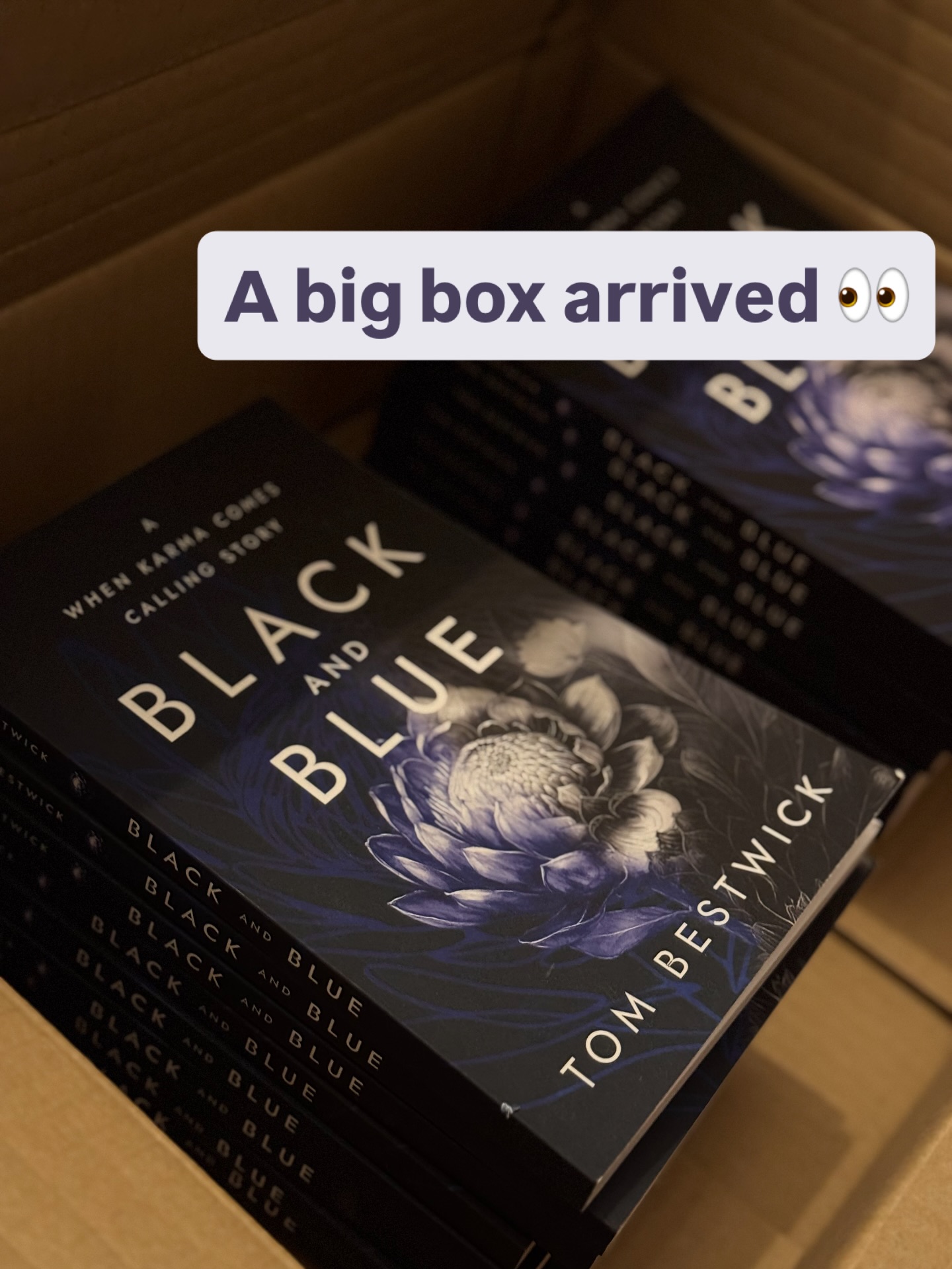 A big box of books can only mean one thing š
#authorsofig #writerlife #authorlife #writerscorner #writerslife #writerssociety #writersonig #writersfollowwriters #authorcommunity #fictionwriter #bookcoverdesign