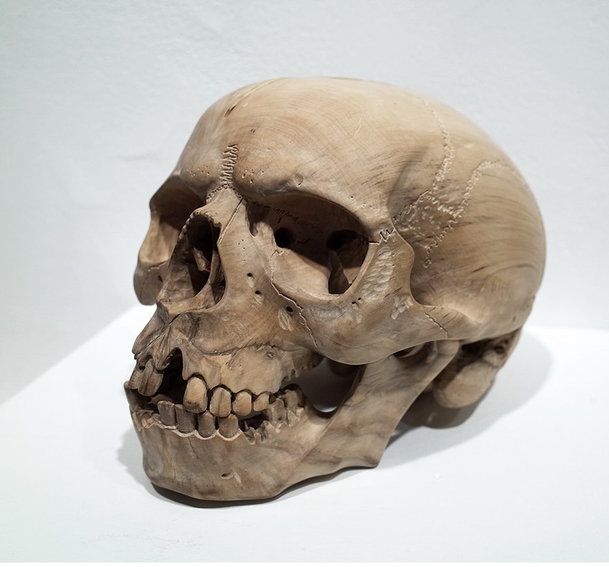 .
Introducing the incredible work of Scott Knight
-
Scott Knight, Aka Skot Biscuit. @skotbiscuit
Scott Knight has been carving for almost half a century now, Often carving skulls, not for the macabre, but for the mirror they offer. He carves various materials from the natural to the industrial.
The artist states ‘My skull carvings are portraits of lives once lived, I don’t see them as morbid or dead, I see them as human beings in their eternal form. We wear faces, I whittle them down to their essence. I carve as a way of studying what endures,
Wood, stone, teeth, amber and bone each carry their own memory. I work with the material’s natural forms, growth rings, fractures, cracks, and holes, leaving them as nature created them. Everything I carve already exists beneath the surface, I merely uncover what was always there’.
The pieces in this exhibition reflect my two greatest passions: Memento Mori skull craft and the Neolithic stone traditions of my ancestors. I have spent decades exploring these worlds and the human response to my art in this modern world fascinates me most.
My Art is based around the study of natural and tactile shapes, focusing on form and function in nature. I find the pieces that we leave behind deeply fascinating, the bones, the stones, the pieces of us that are the essence of Humanity. Art and Bones may be all that remains when all else has passed.
#carving #art #skull #bones #marksoftheisles