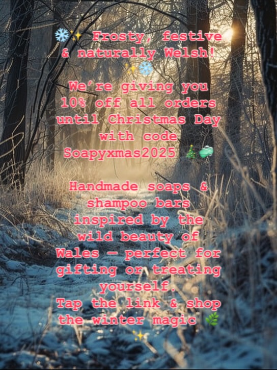 Christmas is almost here.. Anybody feeling festive? ❄️☃️🎄#welsh #natural #vegan #soap