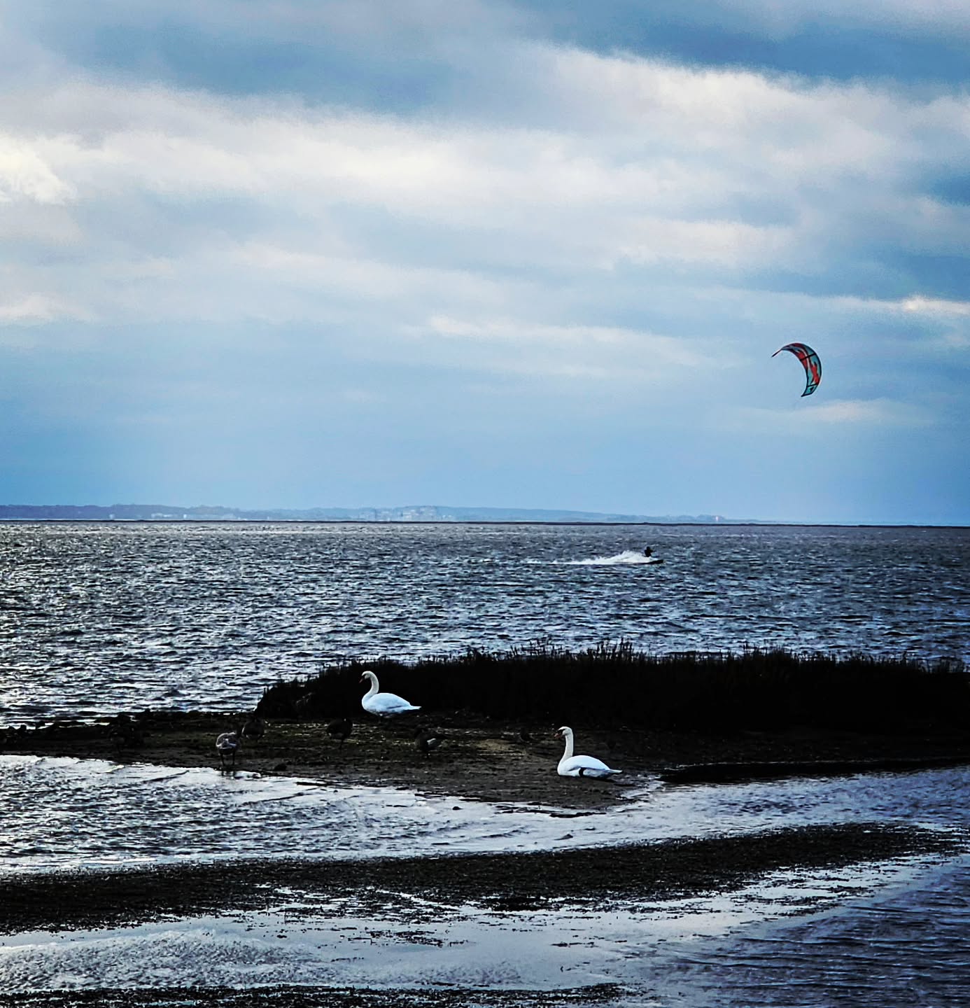 Auf Fehmarn funktioniert Naturschutz neben dem Wassersport ganz natürlich nebeneinander wie hier in Lemkenhafen, nur einen Spaziergang vom Haus im Felde entfernt.
On the island Fehmarn doing watersports and protecting nature just naturally coexist like here in Lemkenhafen.
#hausimfelde
#ferienwohnungen
#ferienappartements
#Fehmarn
#sonneninselfehmarn
#lemkenhafen
#albertsdorffehmarn
#kitesurfing
#windsurfing
#ostseeliebe
#wingfoil
#naturschutz