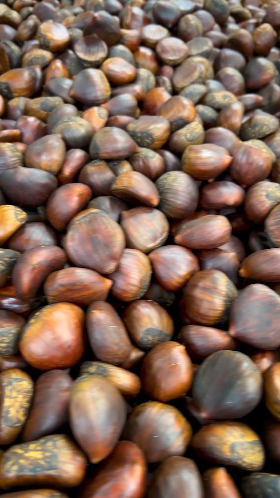 Chestnuts are in! Roast them, bake them, or snack away—nothing says the holidays like that warm, nutty aroma. 🎄
📍Shop with us at 6502 Fort Hamilton Parkway
📲Order your groceries online via @shopmercato and @instacart with the link in bio.
#brooklyn #grocery #GroceryHaul #FreshFinds #MarketFresh #InSeasonNow #ShopLocalProduce #GroceryRun #FreshFromTheAisle #StorePicked #ProduceSectionGoals #GroceryFavorites #ZucchiniLove #HealthyCart