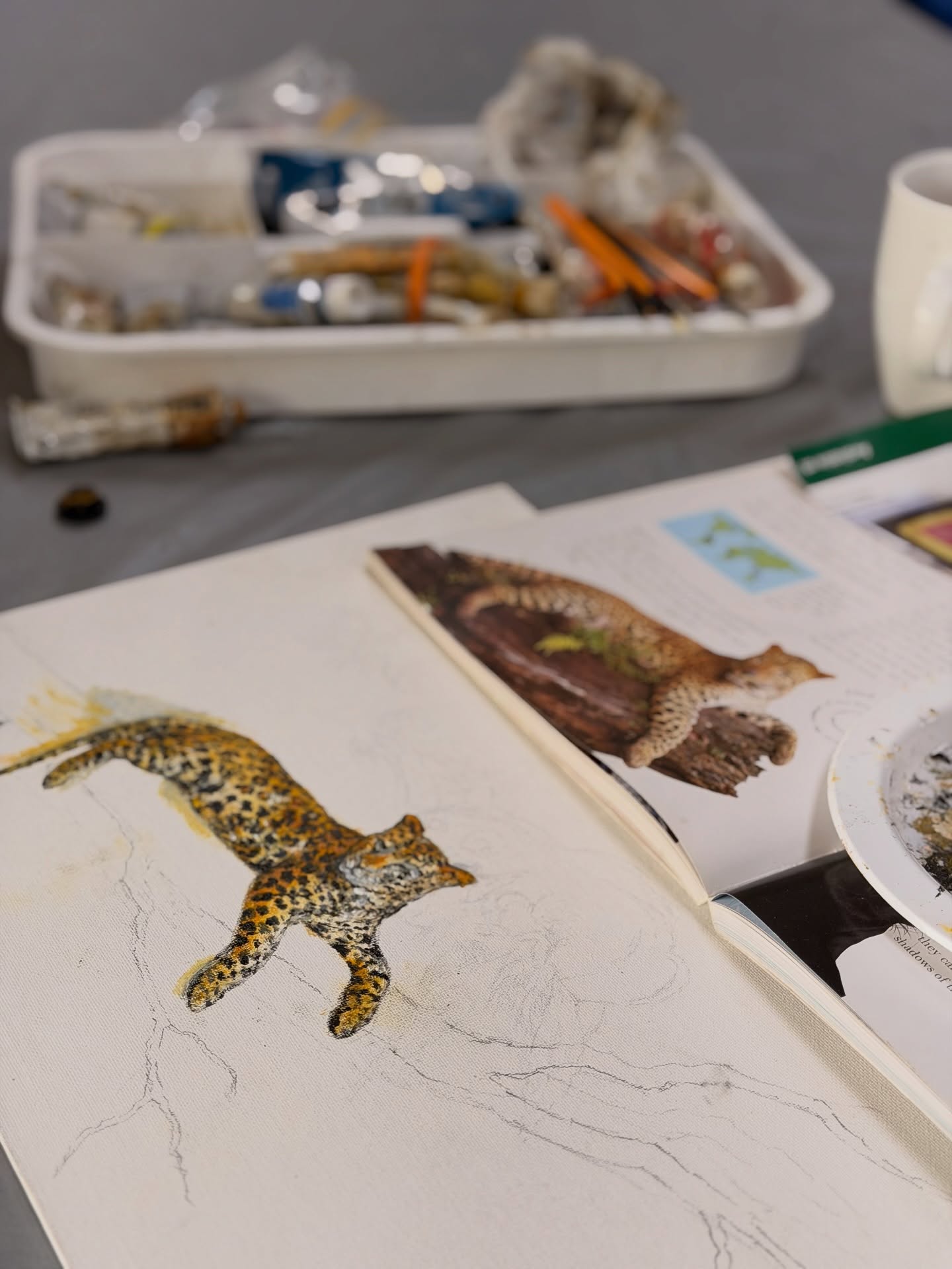 Painting big cats and big boats this Monday.