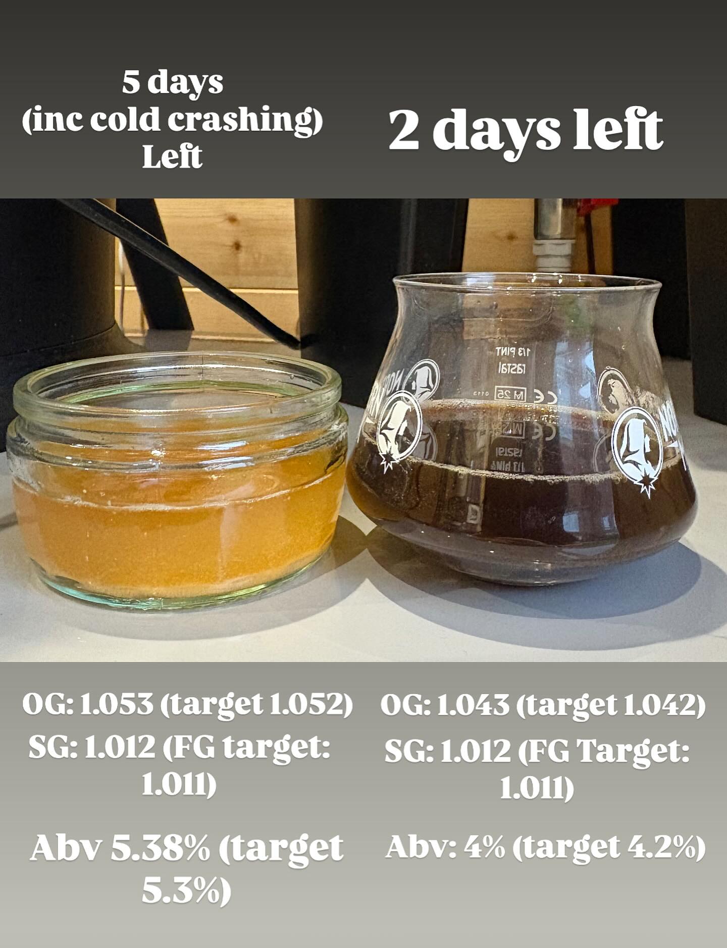 A quick reading.
Both progressing as they should. Pretty much done.
The stout has the right colour, the aroma is awesome, really can’t wait to try this one when it it’s carbonated.
The American IPA, colour is great, clarity is getting there, some really nice fruity aroma, pineapple and mangoes for sure. Cold crashing with clear this up, then carbonate for a while.
Nice brews these ones 🙌
#stout #americanIPA #hops #grainfather #fromgraintoglass #homebrew #homebrewer #homebrewing #foxtailbrewing