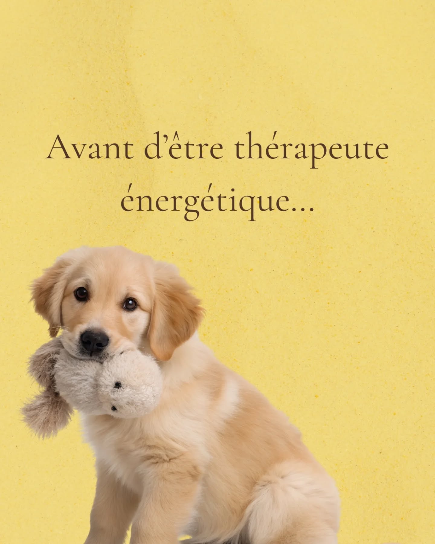 Avant d’être thérapeute énergétique, je suis surtout quelqu’un qui observe, qui écoute et qui cherche à comprendre ce que vivent les animaux au-delà des apparences.
Dans mon métier de directeur d’animalerie, je vois chaque jour des histoires, des peurs, des joies, des liens, et parfois des blessures qui ne se disent pas.
Cette petite chienne venue de La Réunion m’a rappelé à quel point un animal peut être bouleversé par un lieu, une odeur, une ambiance, et à quel point il peut aussi s’apaiser quand on prend le temps de se mettre à sa hauteur.
Une connexion, un échange, une intention claire et c’est tout son corps qui respire autrement.
Ce que je fais en communication animale n’est pas si différent :
- c’est écouter ce qui se cache derrière un comportement,
- c’est rassurer, expliquer, apaiser,
- c’est remettre du lien là où la peur a pris le dessus,
- c’est simplement accompagner ce qui se vit déjà.
Si tu traverses quelque chose avec ton animal, si tu sens que quelque chose sonne “faux”, ou que son comportement te dépasse, tu peux m’écrire.
Je suis là pour t’aider à comprendre ce que ton animal essaie de te dire.