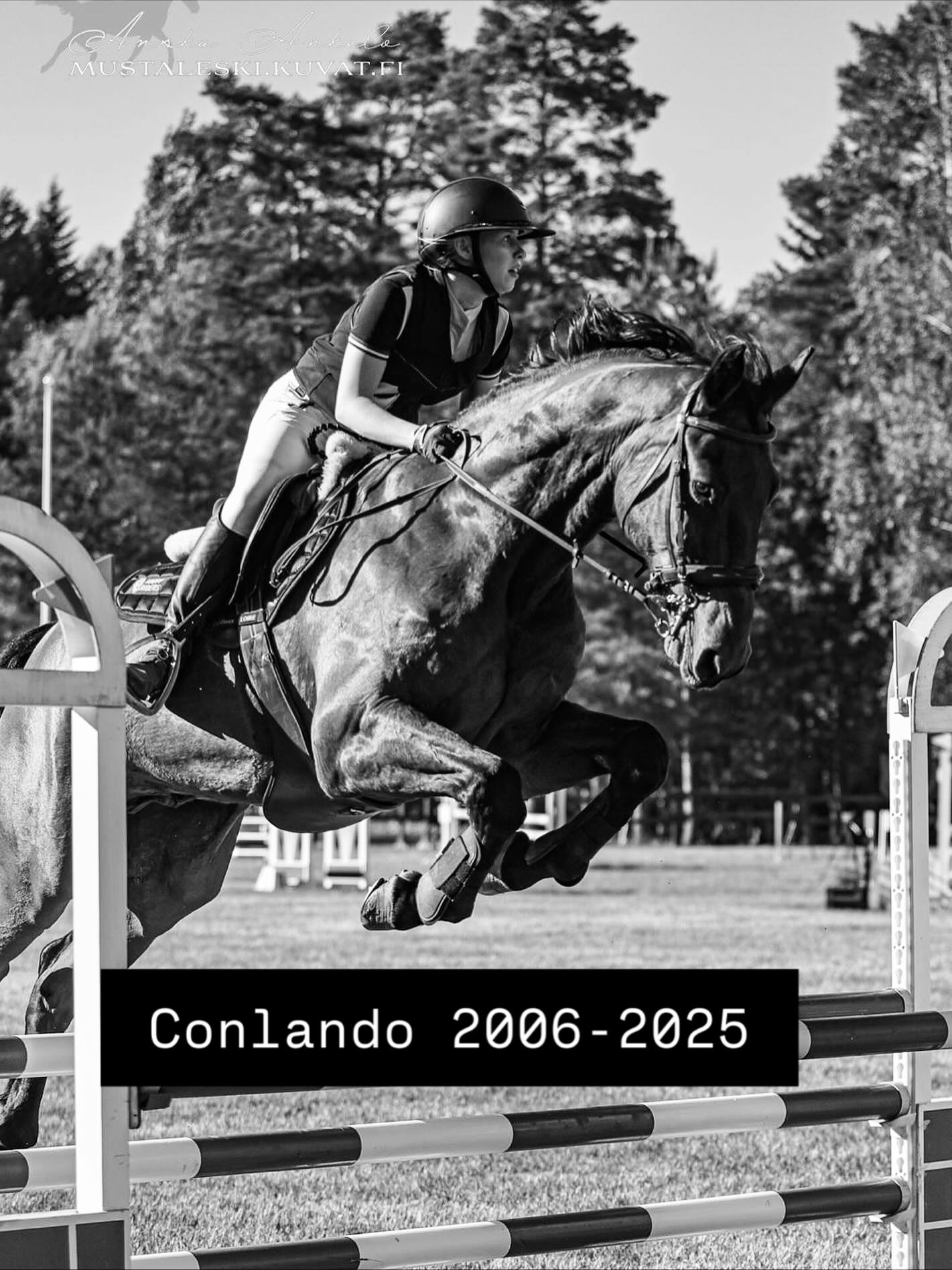 Upea Conna siirtyi eilen ajasta ikuisuuteen 💔
Kiitos kaikesta Conna. Olit ihana luonne ja aivan mieletön estehevonen. Toivottavasti pystyttiin tarjoamaan sulle elämäsi parhaat vuodet ❤️
Ja iso kiitos Jonnalle ja Outille Connan hyvästä hoidosta sen elämän viimeiset kuukaudet. 🙏
Connan lopetuksen syy oli uusiutunut polven ojentajavamma, joka oli lopulta niin kipeä, ettei Connaa saatu enää kengitettyä edes rauhoitettuna.
#conlando