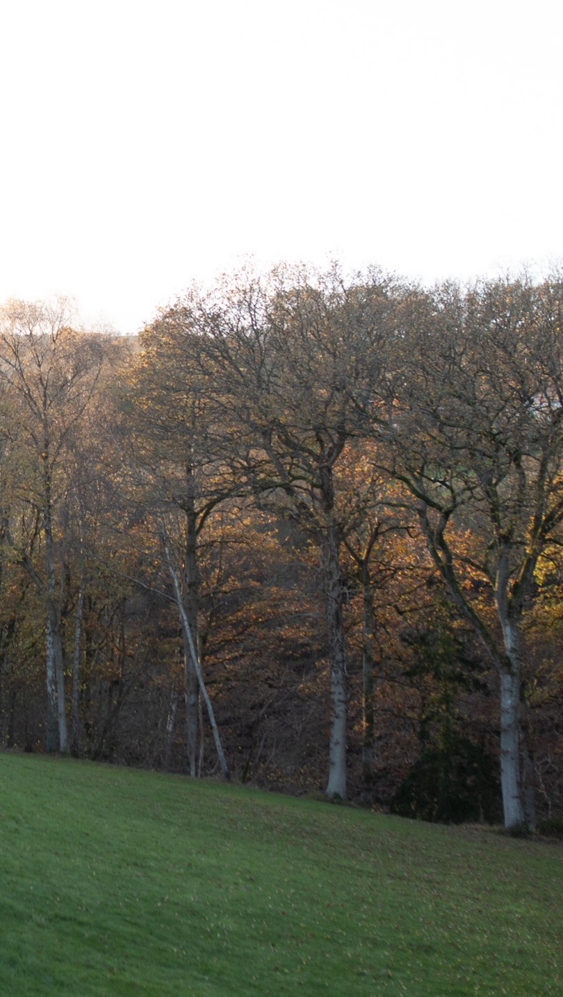 Lodge with a view? We got you. 🌲🪟
#ScandinavianLodge #MidWalesGetaway #WalesHoliday #WalesRetreat #LodgeLife #ScandiStyleLodge #CountrysideEscape #WalesStaycation #NatureRetreat #WalesCabins #HotTubLodge #LuxuryLodgesWales #VisitWales #ForestLodge #UKStaycations #CabinGetaway #RomanticRetreatWales #WelshCountryside #lodgeholidaywales
