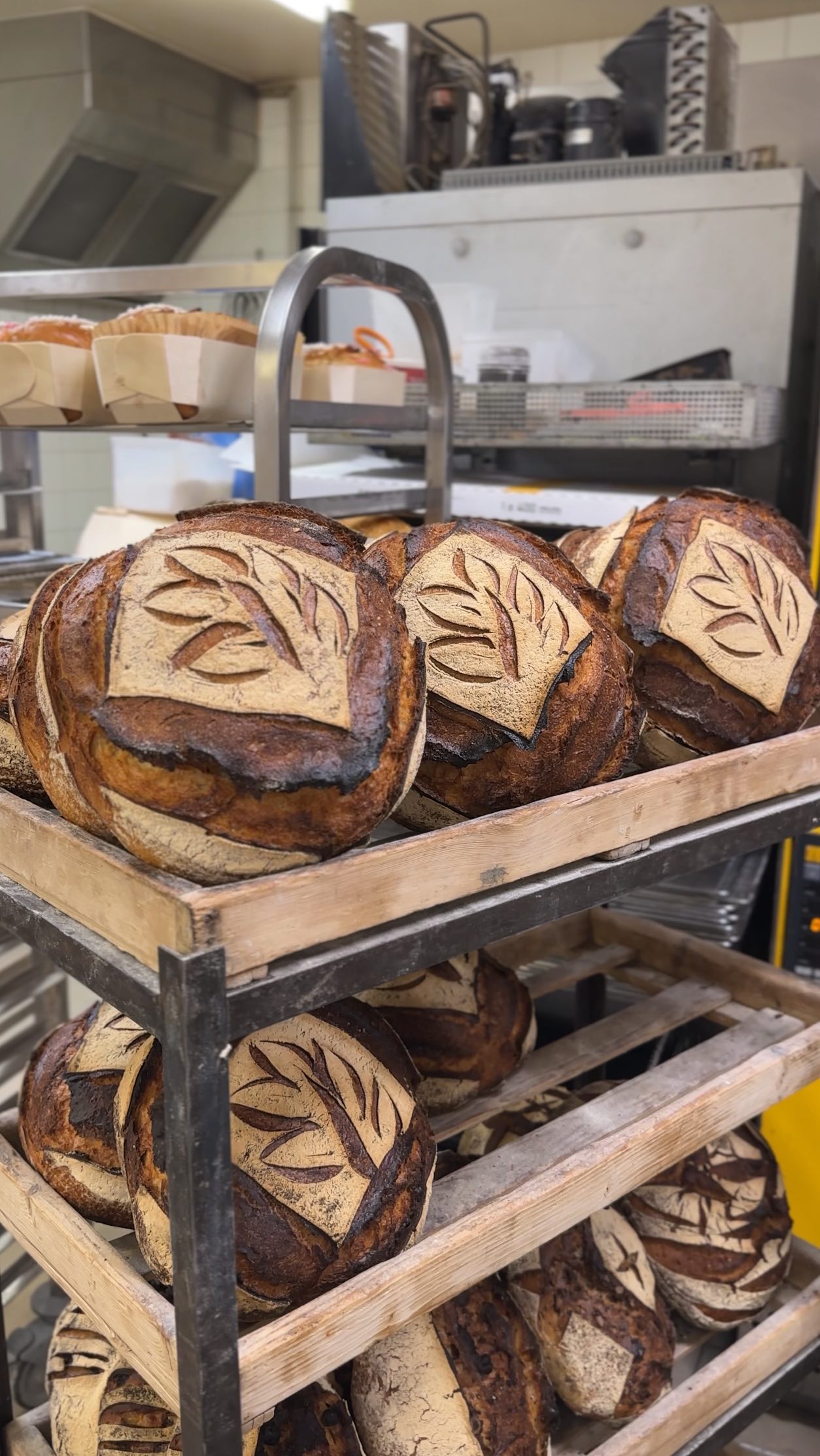 🔥 𝗝-𝟭𝟬 𝗮𝘃𝗮𝗻𝘁 𝗹𝗲 𝗪𝗲𝗹𝘀𝗵 𝗙𝗲𝘀𝘁…
Et aujourd’hui, on vous présente ceux qui vont faire croustiller vos welshs !
Bienvenue à la 𝗕𝗼𝘂𝗹𝗮𝗻𝗴𝗲𝗿𝗶𝗲 𝗣𝗶𝘁𝗺𝗮𝗻 𝗱𝗲 𝗟𝗮𝗺𝗯𝗲𝗿𝘀𝗮𝗿𝘁.@maison_pitman
𝗟𝗘 pain officiel du garde-manger au 𝗖𝗼𝗻𝗰𝗼𝘂𝗿𝘀 𝗜𝗻𝘁𝗲𝗿𝗻𝗮𝘁𝗶𝗼𝗻𝗮𝗹 𝗱𝘂 𝗪𝗲𝗹𝘀𝗵 𝟮𝟬𝟮𝟱
🥖 𝗣𝗶𝘁𝗺𝗮𝗻, 𝗰’𝗲𝘀𝘁 :
• Un savoir-faire artisanal qui flirte avec la perfection 🤌
• Un stand sur place les 𝟮𝟵 & 𝟯𝟬 𝗻𝗼𝘃𝗲𝗺𝗯𝗿𝗲 pour régaler les survivants du Welsh Fest qui ont encore une petite place pour le dessert…
• Une équipe tellement chaleureuse qu’on a cru deux secondes qu’on allait finir en apprentis boulangers. ❤️
Un énorme merci à eux.
𝗟𝗲 𝗰𝗼𝗺𝗽𝘁𝗲 𝗮̀ 𝗿𝗲𝗯𝗼𝘂𝗿𝘀 𝗰𝗼𝗻𝘁𝗶𝗻𝘂𝗲 𝗲𝘁 𝗹𝗲 𝗰𝗵𝗿𝗼𝗻𝗼 𝘀’𝗲𝗺𝗯𝗮𝗹𝗹𝗲… 🧀🔥
#lillemaville #georgesvlille #faisfondrelewelshchef #villedelille #concoursinternationalduwelsh2025 #maisonpitman #boulangerieartisanale #welshfest #welshfest2025 #cidw2025