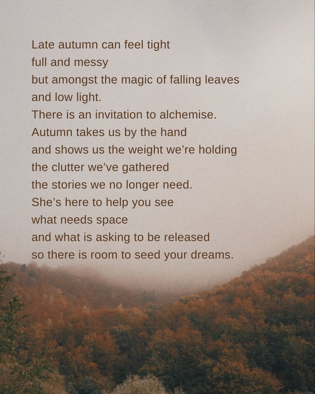 It’s likely you are really being shown your shit right now.
Deep autumn has a way of doing that and this new moon in Scorpio is only turning up the volume.
Why should you care?
Because now is the moment to get really clear on what you are carrying with you into your winter cave.
Those old stories, tired energies, patterns that aren’t serving you…
The versions of you that self sabotage, blame, or let people live rent free in your head…
Do you want to hibernation with all of that?
The no space feeling that arrives around this time,
The squash and the squeeze, It’s not a sign to abandon your dreams,
It’s an invitation to compost, clear out and make space so they can grow when it’s time.
How can you fall into a deep slumber, sync with the earth’s Dreamtime, if you are simply too full?
The invitation right now is to get clear,
To meet your inner alchemist,
To let the painfully honest eyes of Scorpio show you what needs to be released so you can return to yourself.
Come home to yourself, nourish yourself, tend to yourself.
Late autumn is a sanctuary, not a punishment.
So how do we do this…
We come together & let ourselves be held in community.
We breathe, we move, we feel, we soften
We weave our energy with others who are also choosing to come home.
I have an offering I am almost ready to share with you. Sanctuary. Details next week I promise.
This week I am holding two spaces for exactly this:
🍂New Moon Breath and Sound Journey for Scorpio new moon: 🌑
Friday 7.30pm @micayogastudio
We breathe into the places that feel tight and tired, let sound move through the body, clearing and soothing. Alchemise & soften old stories and meet what is ready to shift.
🍂Medicinal Movement, Breathwork and Sound Healing
Sunday 10am @oru_space
Slow, intuitive movement to soften the body.
Breath to reconnect you to your centre.
Sound to guide you into deep rest.
Both sessions are gentle, brave spaces.
Spaces for release, remembering.
A space to put down what you’ve been holding so you can step into winter with clarity instead of clutter.
If you feel the call, I would love to hold you.
A x
#Events #seasonalliving #spiritualjourney #selfhealing #writersofig #sanctuary