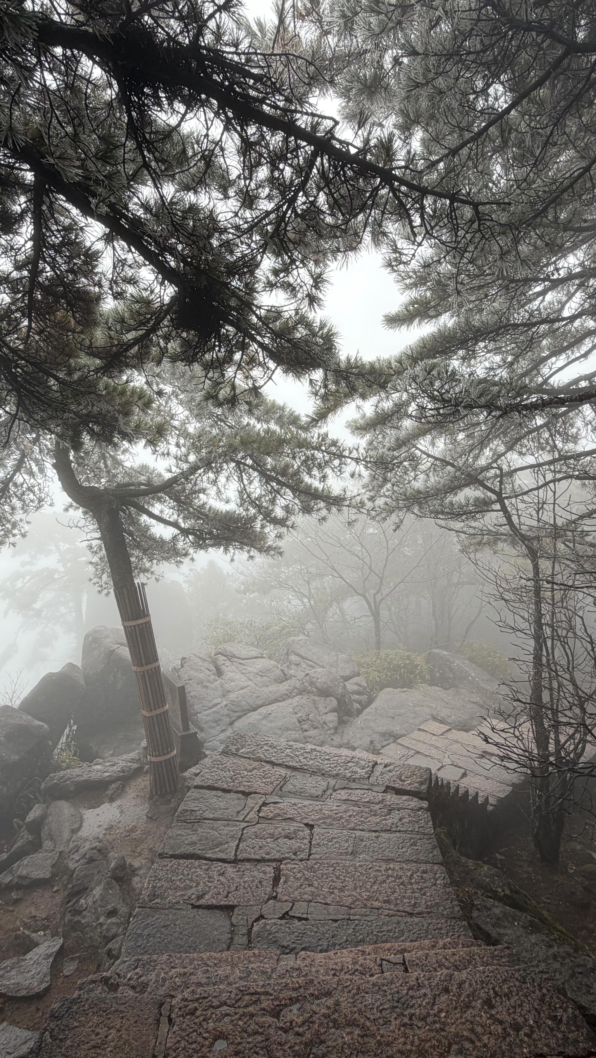 Come with me to Day 1 on Huangshan Mountain in China! Day 1 was quite the time from the cab to almost the wrong train station, a backpack almost left behind (not mine), a cell phone almost left behind (ok that one was mine), then the bullet train, two bus rides, a cable car up, and then hiking in to the mountain with the world’s best visibility ☁️☁️👀 But it was beautiful in its own way and we were hopeful for the best views for day 2 🤞🏼so stay tuned to see if we made the trek all for nothing.
•
#hiking #hikingtrip #huangshan #huangshanmountain #thatview #thatviewtho #musicianlife #dayoff #touringmusician #chinatourism #daytrip