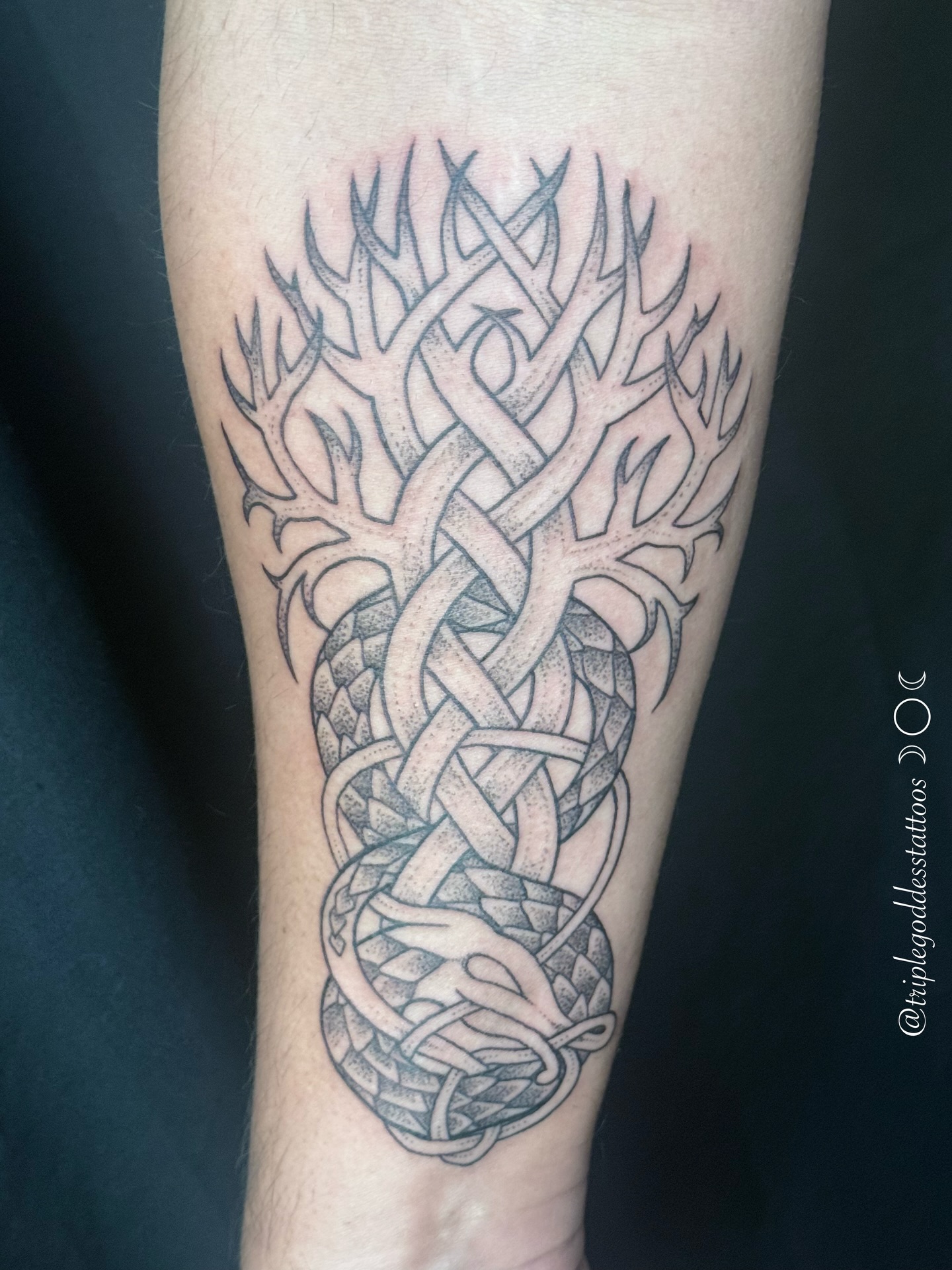 Created a tribute to Yggdrasil, the Nordic tree of life, and Jörmungandr, the world serpent. Thank you to the kindest client. It was an honour to create your first tattoo!
-
Email me to book: triplegoddesstattoos@gmail.com
#triplegoddesstattoos #nordictattoo #knotworktattoo #dotworktattoos