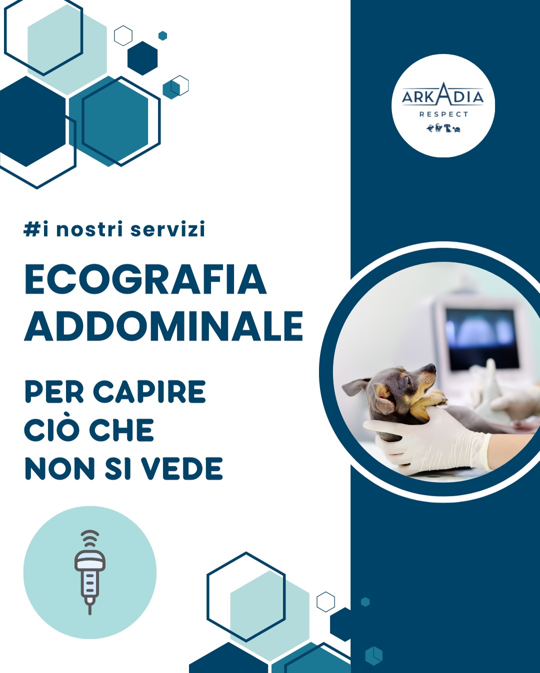 Un controllo che rassicura, un esame che protegge. 💙
L’Ecografia Addominale Specialistica permette di individuare disturbi e alterazioni degli organi interni, ottenendo diagnosi rapide e mirate.
Non è invasiva, è sicura e fondamentale nei momenti in cui il tuo animale mostra segnali che non vanno ignorati. 🐾
📍Arkadia Vet Clinic – Cassino (FR)
🌐 www.arkadiavet.it
#ArkadiaVetClinic #EcografiaAddominale #DiagnosiVeterinaria #BenessereAnimale #ClinicaVeterinaria #Cani #Gatti #VetCare #SaluteAnimale #Cassino #veterinariocassino
