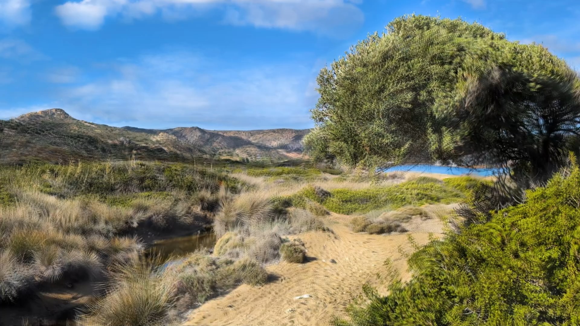 The moment when that Psilo starts hitting you really fast 🤪