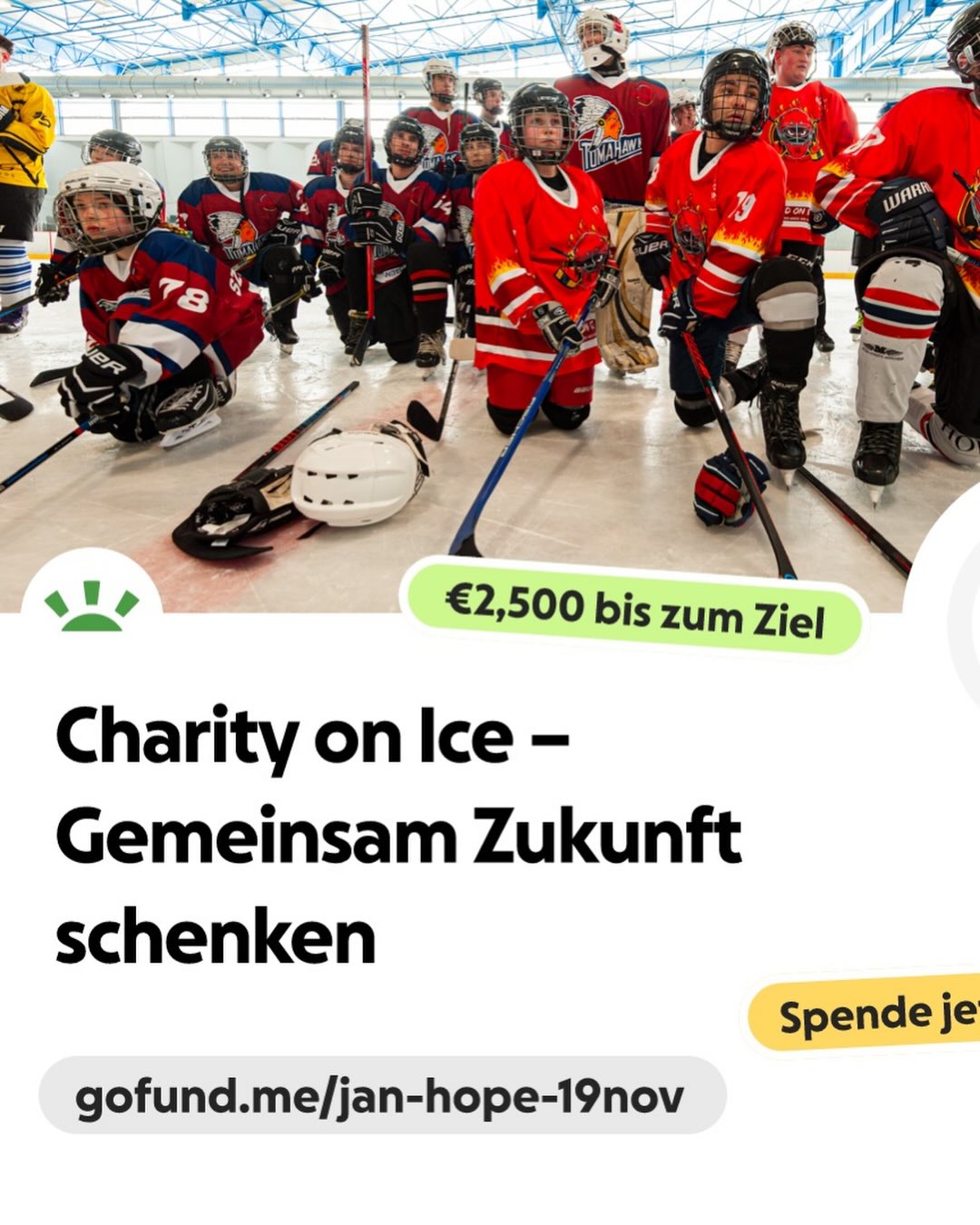 United on Ice ermöglicht Kindern und Jugendlichen - besonders jenen mit erschwerten Startbedingungen - kostenlosen Zugang zum Eissport. Durch Bewegung, Teamgeist und pädagogische Begleitung schaffen wir Lern-, Erlebnis- und Erfolgsräume, die ihnen im Alltag Stärke und Zuversicht geben
Mit unserer GoFundMe-Kampagne wollen wir weiterhin kostenlose Trainings, Ausrüstung und Betreuung anbieten. Mit eurer Unterstützung erreichen wir mehr junge Menschen und schenken ihnen Chancen, die sie sonst nicht hätten. Jede Spende hilft.
https://gofund.me/7c9ac86ad