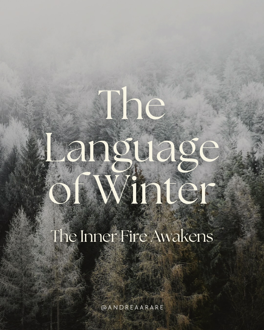 Winter is an invitation into the quiet wisdom
of stillness, rest, and deep listening.
Winter doesn’t shout
it speaks in silence, breath, shadow,
and the slow turning inward of all things.
Winter is always speaking.
and in the quiet,
your soul can finally hear.
Swipe ➡️ to learn about the language of winter ❄️
#winter #wheeloftheyear #cyclicalliving