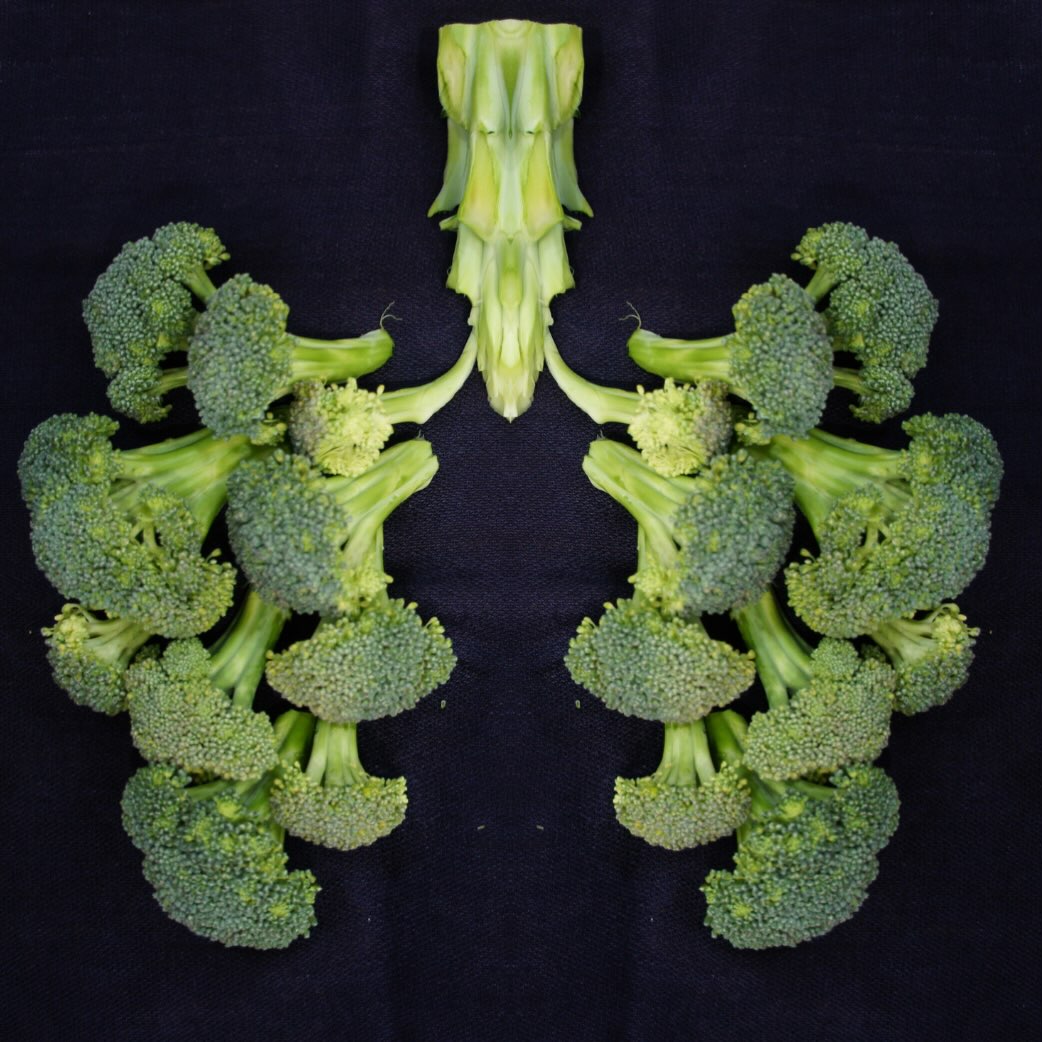 🫁 You’ve probably heard about the gut-brain connection, but did you know your gut and lungs also communicate?
Your lungs actually have their own microbiota - a community of microbes which is dynamic and constantly renewing. These microbes support respiratory health by regulating immune responses and protecting against pathogens.
Like the gut microbiota, the lung microbiota develops over the first couple of years of life. This may help explain why young children experience more respiratory infections: their lungs are still building up their microbial defences.
As with the gut-brain connection, the gut-lung axis is bidirectional: this means that disturbances in the gut microbiota can increase susceptibility to lung infections, and viral lung infections (like the flu) can also impact the gut microbiota, and trigger gut symptoms in some people.
Researchers have also found links between altered gut microbiota and a number of conditions that affect lung function, such as asthma, Chronic Obstructive Pulmonary Disease (COPD) and cystic fibrosis.
This is still an emerging area of research, so there’s still a lot to learn. But early evidence suggests that, just as with other aspects of gut health, diet and lifestyle may also influence respiratory health.
📷: Unsplash/Sara Bakhshi