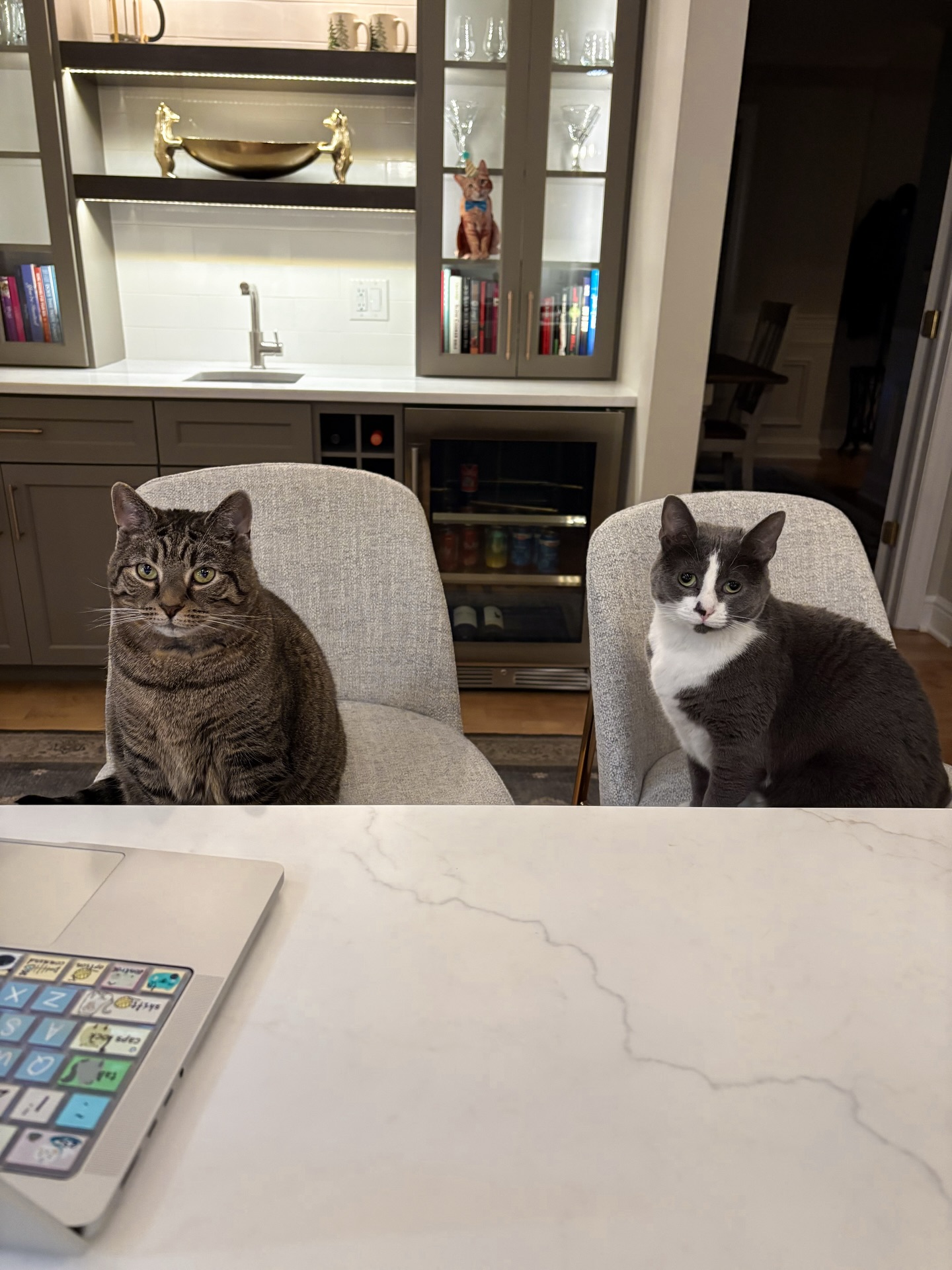 Pet approval of our projects is of the utmost concern! 😂 It seems like our client’s kitties 😻😻have already claimed their spots in their new kitchen. 📸 Photos coming soon!