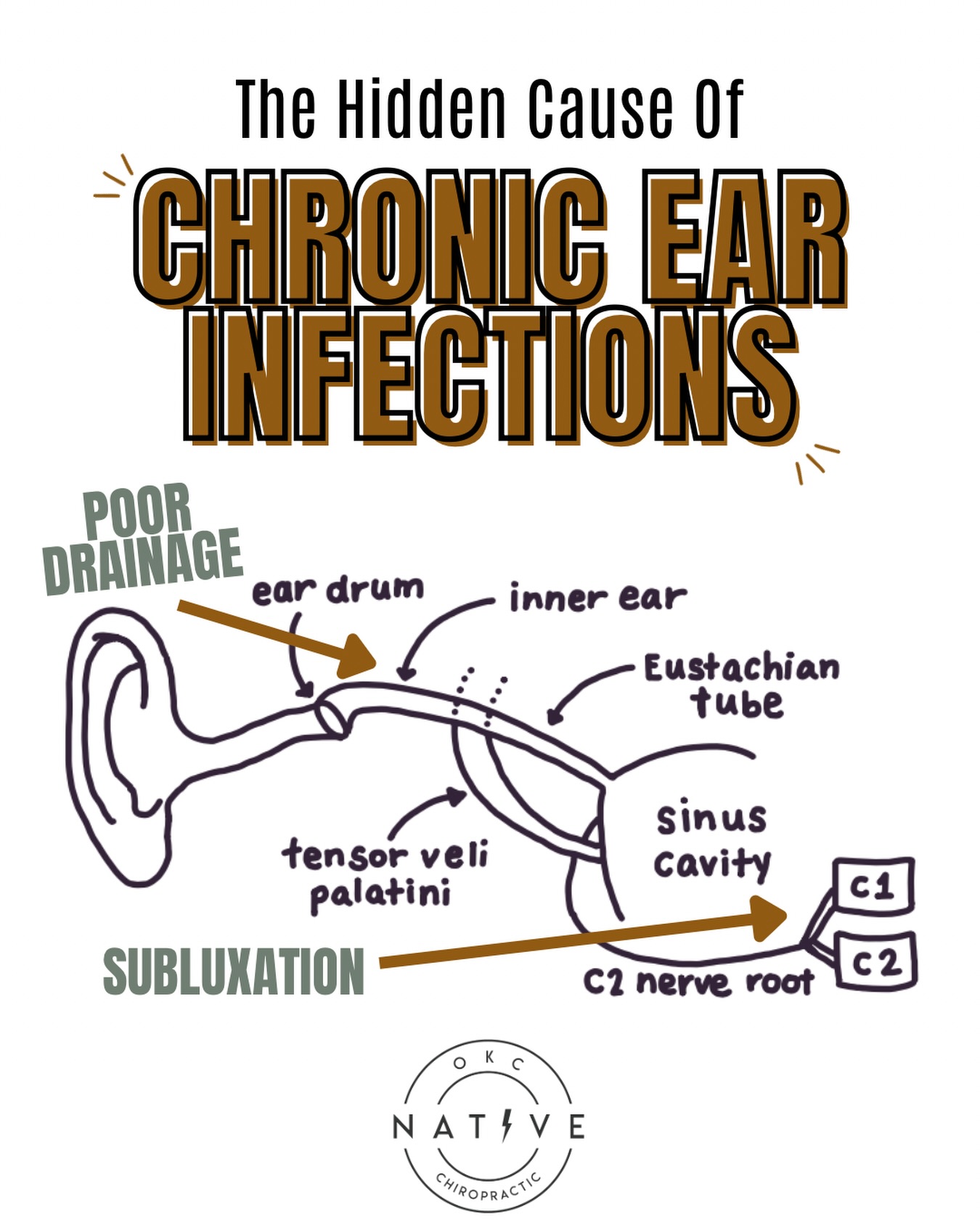 If your traditional pediatrician immediately hands you another prescription for an ear infection, RUN!
According to the American Academy of Pediatrics, they now recommend a watch-and-wait approach due to the rare cases of a bacterial ear infection. A gentle, specific chiropractic adjustment can help the body move that fluid out…without the harmful side effects of anantibiotic!
“Before chiropractic care, Luca would get an ear infection every time he got sick. At one point, he had 5 ear infections in 4 months. Our pediatrician suggested going to an ENT for tubes in his ears or some other sort of surgery, but I didn’t want to go that route if I could avoid it... Since we started chiropractic care, Luca has not had a single ear infection.” 👏
At Native Chiropractic, we specialize in identifying patterns of nervous system stress. Then our gentle adjustments help restore proper function to the entire system, improving drainage, enhancing immunity, and breaking the chronic infection cycle naturally. 💛
If your little one is struggling with ear infection after ear infection, give us a call or head to the link in bio for natural, root cause solutions and sign up for our Raising Healthy Kids Naturally Webinar!! Let’s break that constant sick cycle!! 🫶
#pxdocs / pediatric chiropractic / baby sleep / chiropractic for kids / ear infections / colic / tantrums / ADD / ADHD / constipation / ODD / OCD / SPD / ASD #okc #oklahomacity #nervoussystem #nervoussystemregulation #pediatricchiropractic #yukonok #okcmoms