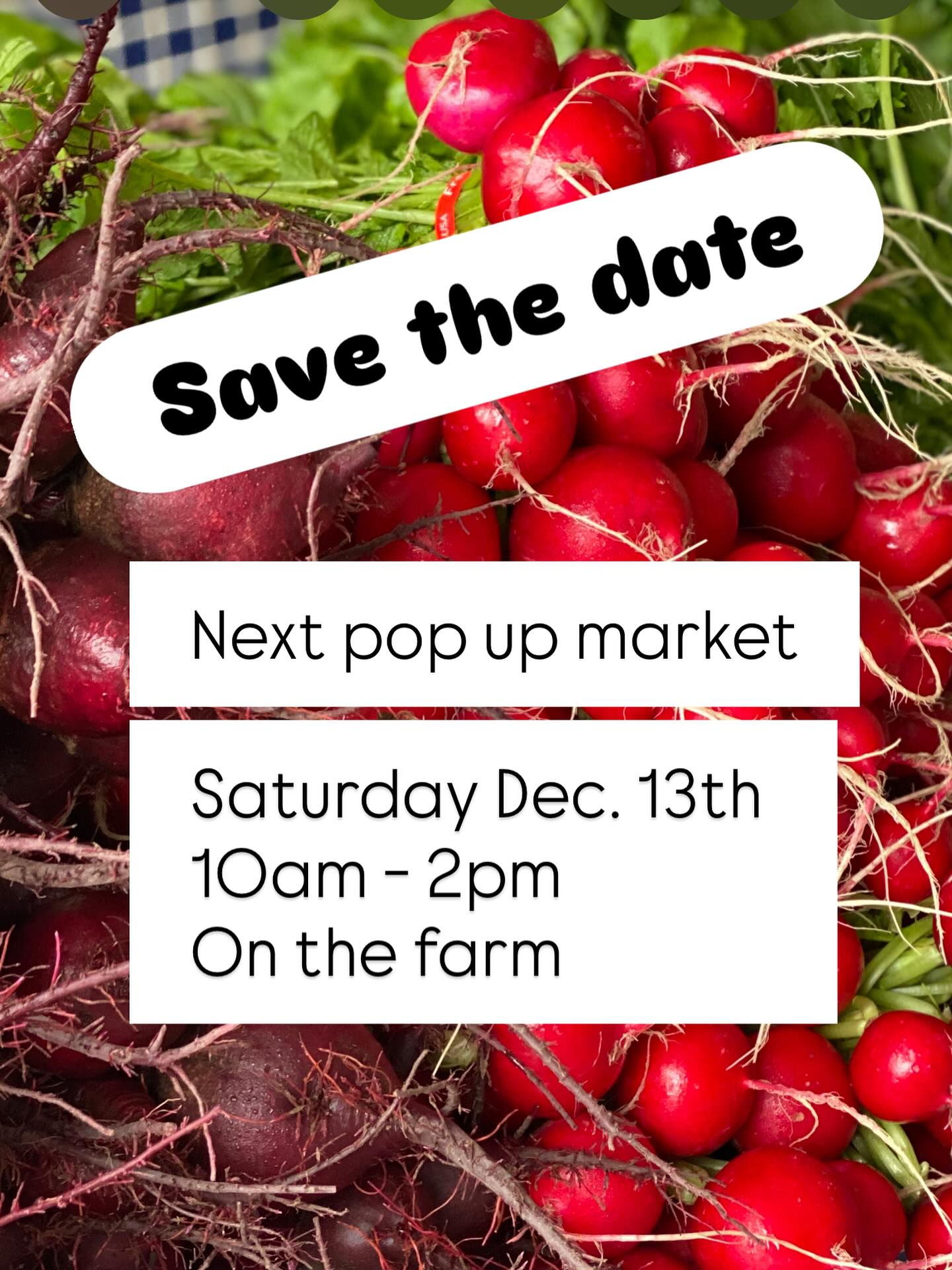 Today’s Pop-up was epic! Thank you everyone!
Save the date for the next one. I’ll have preorder quiches and pies as well.
#sliceofheavenfarm