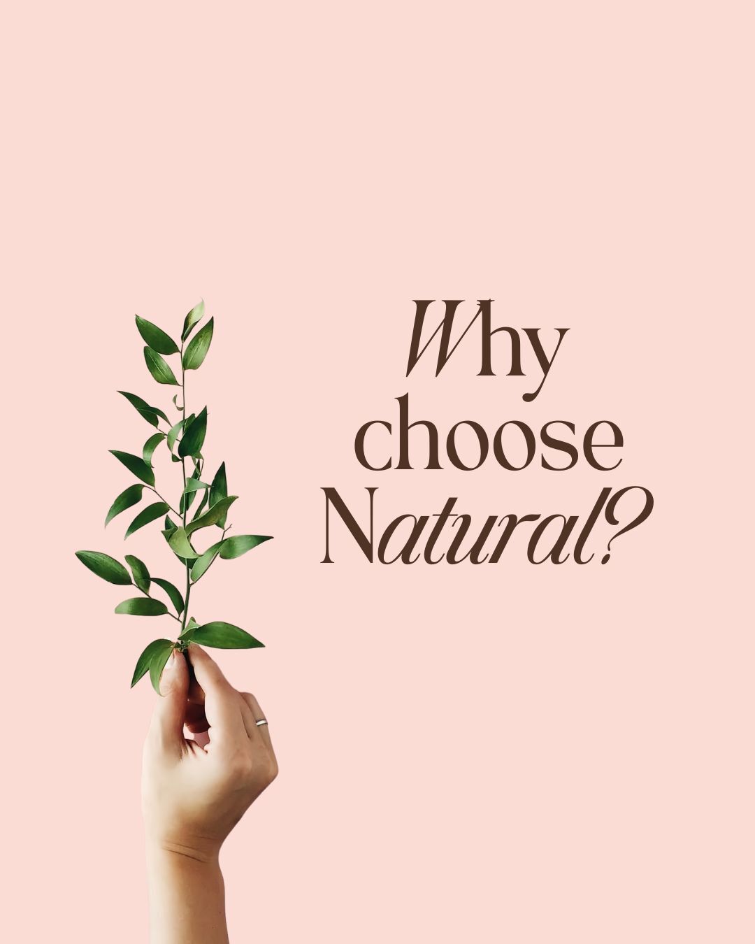 Why Choose Natural? Because your skin deserves to be nourished, not coated.
At Peachface Skincare, we believe in harnessing the power of nature, plant oils, fruit acids, and vitamin-rich botanicals to support real skin health, not mask it.
- Gentle yet effective
- Safe for sensitive and mature skin
- Free from harsh chemicals, parabens, and synthetic fragrances
- Formulated with Australian-grown ingredients and backed by science
Natural skincare works with your skin - balancing, repairing, and revealing your natural glow.
Because when your skin is healthy, it shows
.
.
.
.
.
.
#PeachfaceSkincare #NaturalSkincare #ProAgeing #BrisbaneBeauty #BrisbaneSkincare #Tarragindi #AustralianMadeSkincare #CleanBeauty #AussieBrand #HolisticBeauty #BarrierLoving #VeganSkincare #HealthySkinJourney #NaturalGlow #AussieSkincare #PeachyGlow