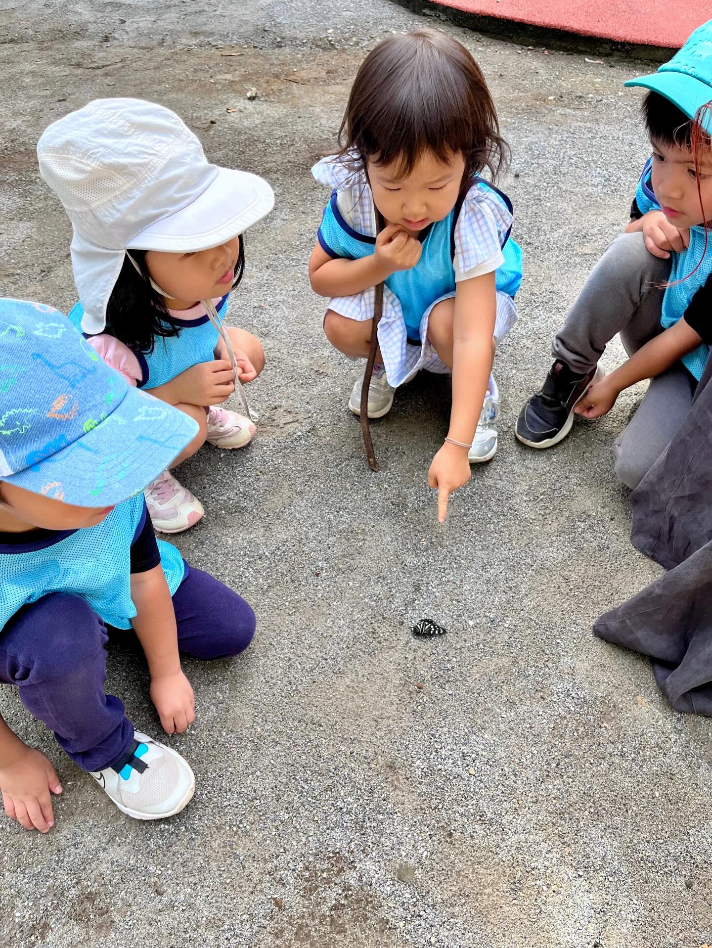 In Montessori, science begins with curiosity 🔍 A magnifying glass and a question are often enough to spark lifelong wonder!
Ask your child, “What do you wonder about today?” and explore it together.