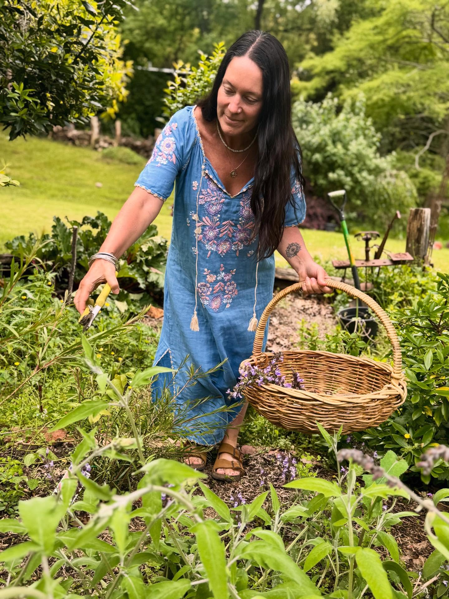 There have been not enough sunny days in the garden for my liking so far this Spring… please weather gods be kind and bring more nice weather 🌞🤞