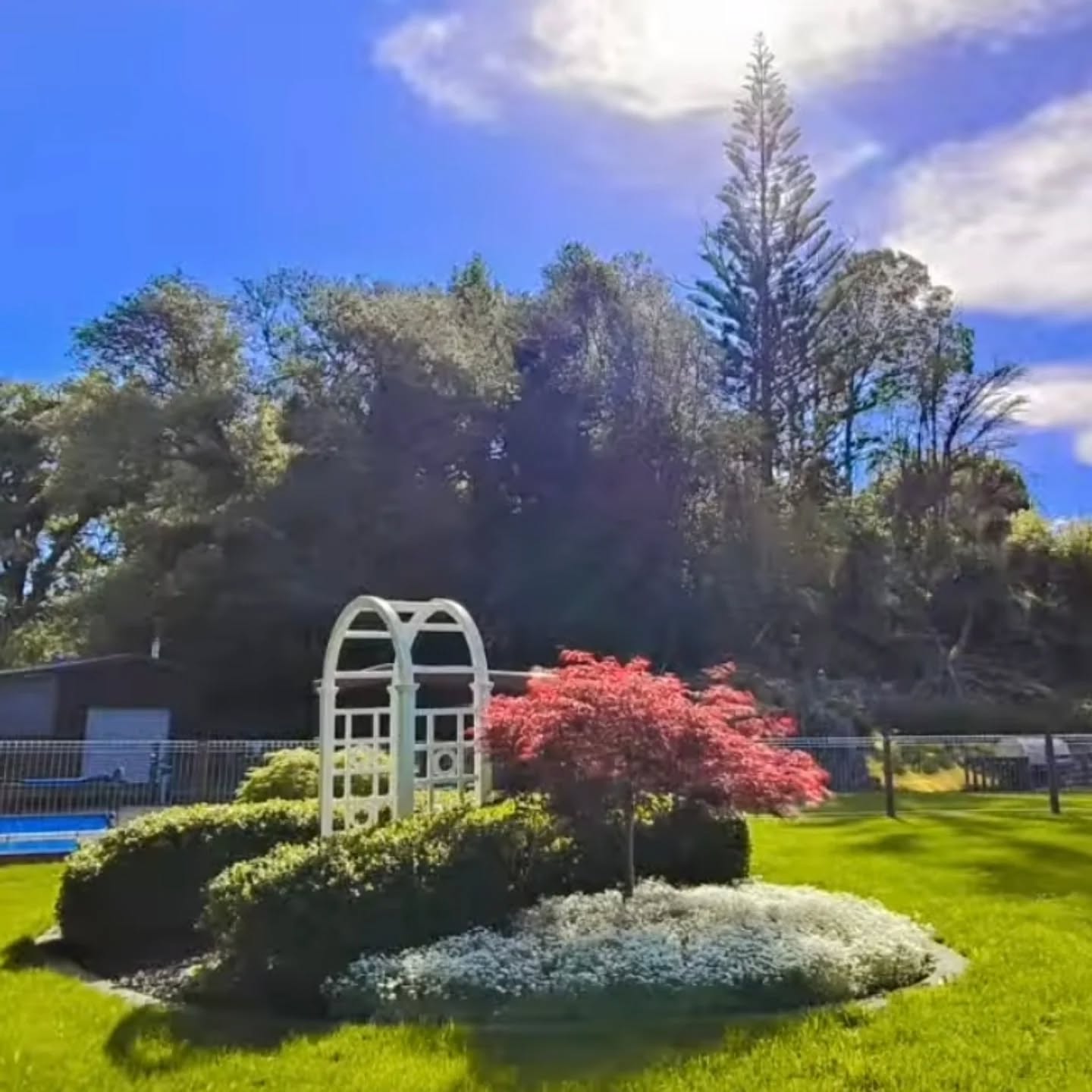 Garden #18
Angela Anderson
Another stunning new rural garden to the festival this year.
A Large rural garden in a park like setting, 7 years ago this was an unstructured jungle. Now a mixture of structure, native and rambling. Hidden pathways through woodland areas with hellebores and other shade loving plants. A garden of full sun and full shade, treelined driveway leads to old and new gardens full of colour. The gazebo provides a quiet place to listen to the birds and to take in the country views from this beautiful garden.
#rotoruaevents #rotoruafestivalofgardens #gardensnz ##gardeningrotorua