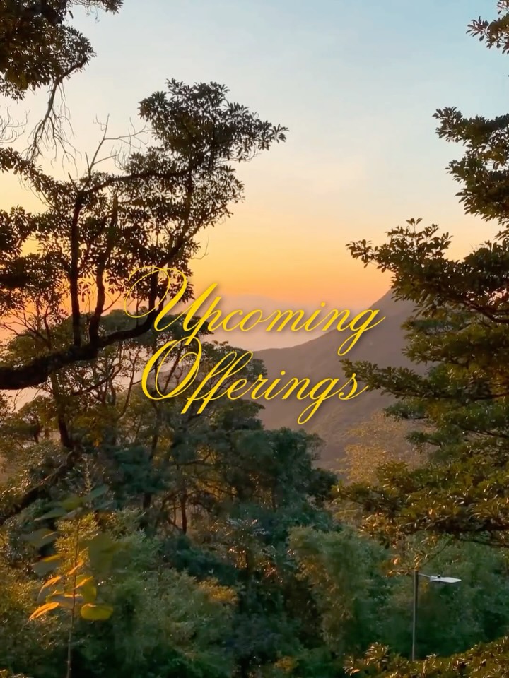 𝐔𝐩𝐜𝐨𝐦𝐢𝐧𝐠 𝐖𝐨𝐫𝐤𝐬𝐡𝐨𝐩𝐬 - 𝐍𝐨𝐯 & 𝐃𝐞𝐜 𝟐𝟎𝟐𝟓
Here are our final events and workshops to close out the year!
🇭🇰 𝘐𝘕-𝘗𝘌𝘙𝘚𝘖𝘕
🌊 Nov 30 - Wellness by the Sea: Open Awareness (KLF x HK Maritime Museum)
🎨 Dec 7 - Open Awareness: Creativity (Eaton HK - Consciousness Festival)
🌏 𝘖𝘕𝘓𝘐𝘕𝘌
💛 Nov 29 - Intro to Fundamental Techniques
✨ Dec 14 - KLF Awakening Workshops - Fulfilment (final workshop for 2025!)
See you all soon!