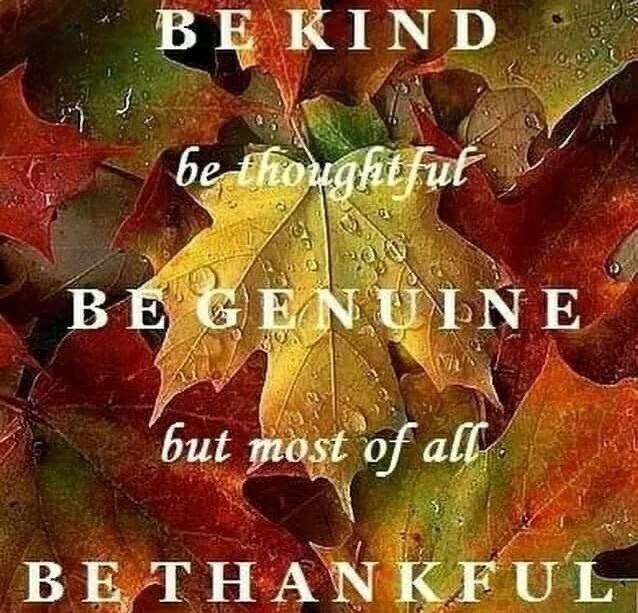 Gratitude is the AttitudeAs we go forward and close out the end of the year, I feel so grateful for all the many blessing this past year#grateful #blessed #inspired