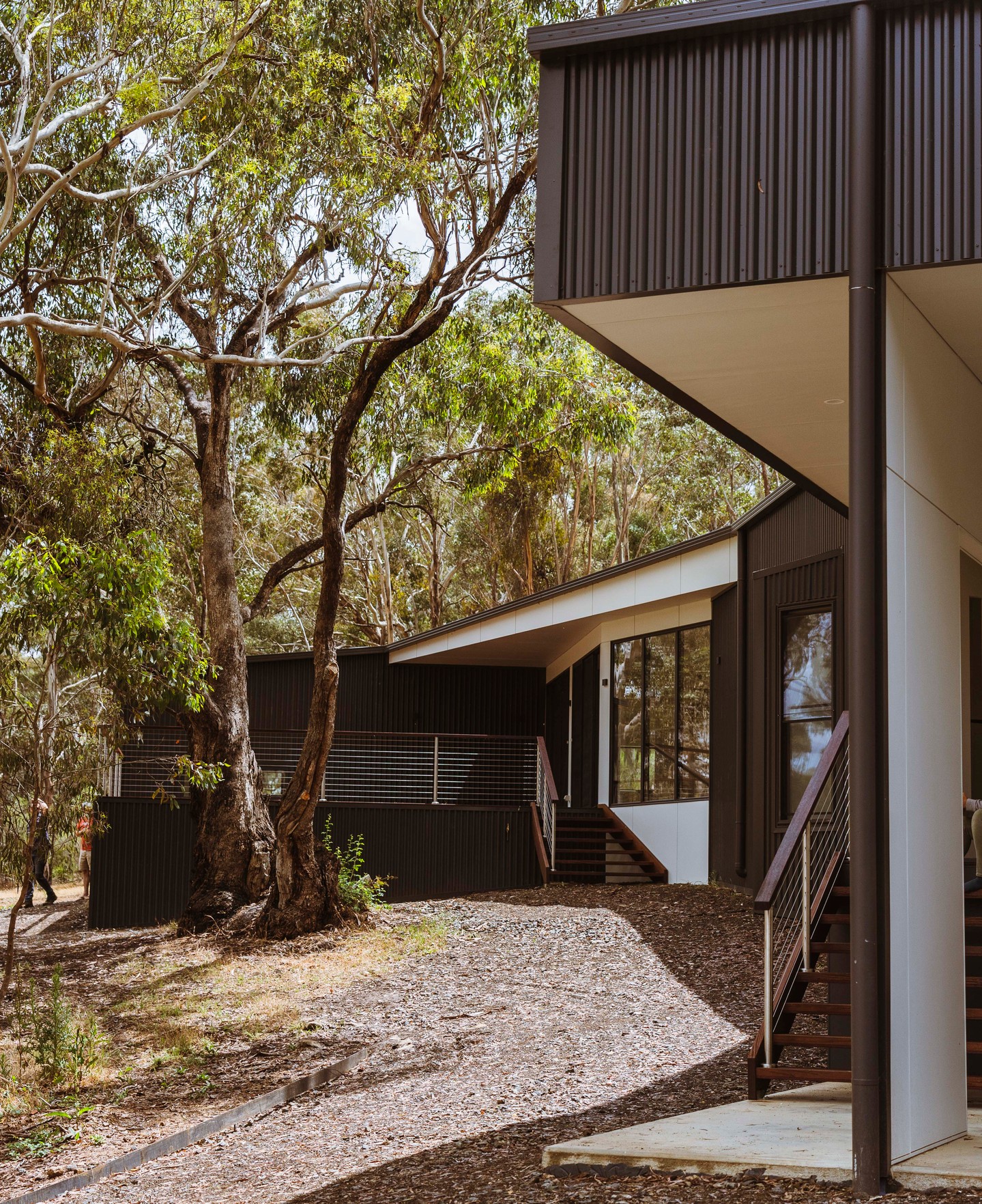Building to fit the bush and the contours of a regional landscape is always a challenge, and one of the things that makes our work so rewarding.
Design by @bradhooperarchitect.
.
.
.
.
.
.
.
#buildtrend #buildtrendhomes #masterbuilder #macedonrangesbuilder #victorianbuilder #customhome #regionalarchitecture #australianarchitecture #architecturalbuilder #bushblockbuild #sustainablebuilding