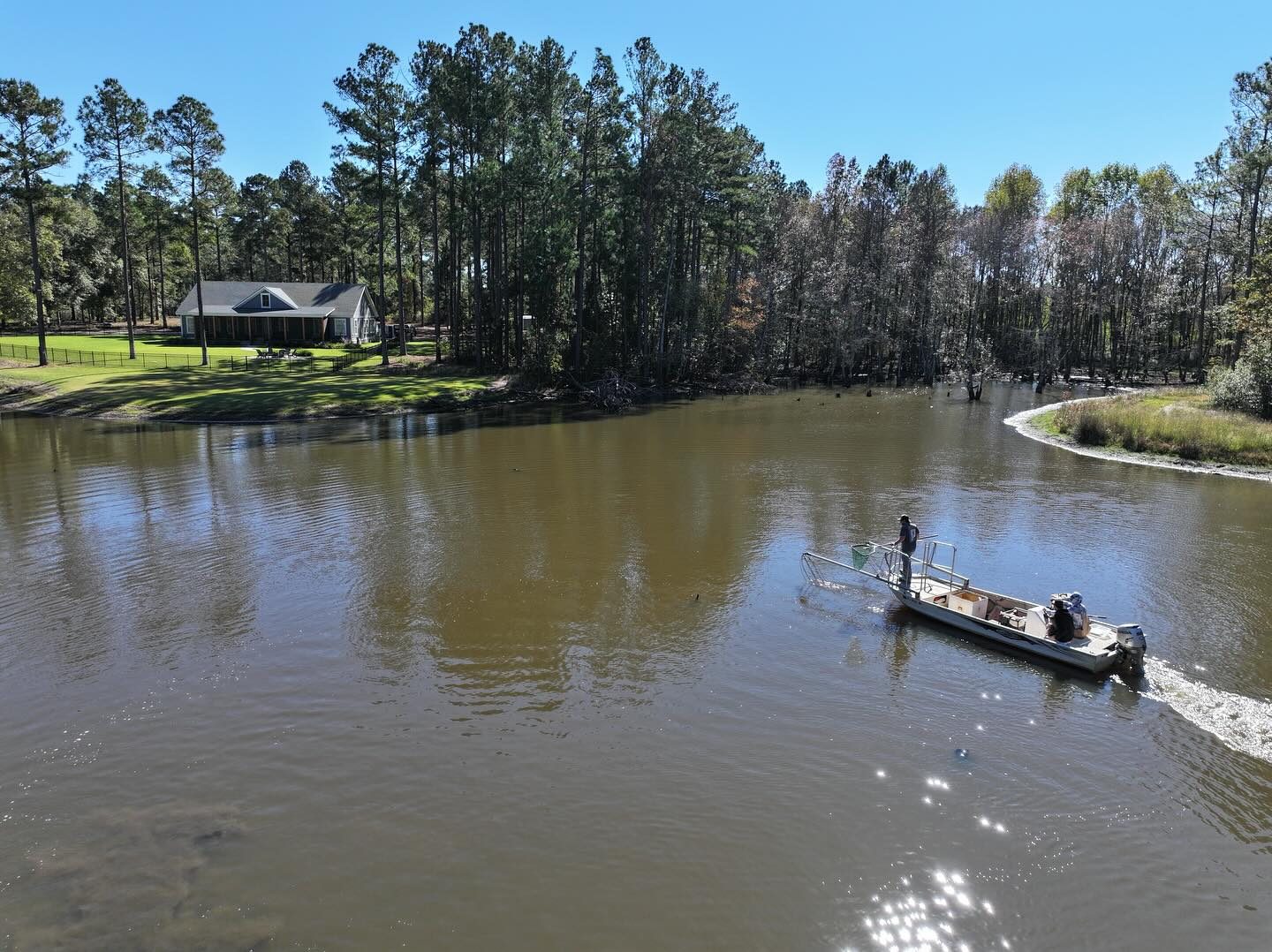 Fish Survey 🎣
.
Pond management is multi faceted & for clients that are looking to maximize the health & size of their fish need a baseline. We were able to conduct this by electro shocking the pond - capturing a 2-5% sample size as well as taking out the annual removal requirement (10lbs per acre).
.
The data collected allows us to prescribe next steps for our clients to help meet their goals & objectives. This pond has a healthy fish population with a good mix of small (1-3”), medium (4-5”) & large (6”+) bream, while being heavy on the small size (< 16”) large mouth bass. Fish like other critters need to be managed through harvesting to keep their populations in check. We can also increase carrying capacity through supplemental feeding or stocking additional bream/shad.
.
Feel free to reach out if you have any questions or pond mgmt needs🐟