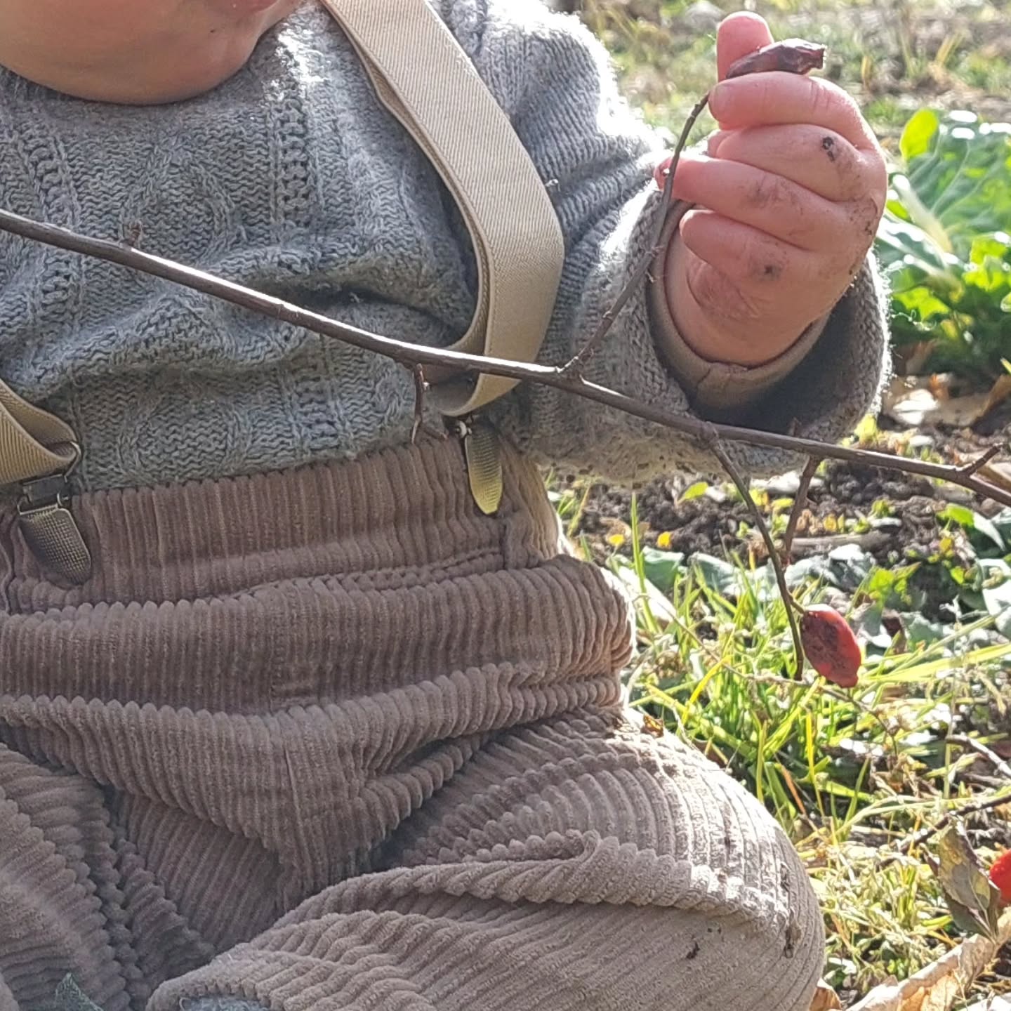 Grandir à la ferme 😀