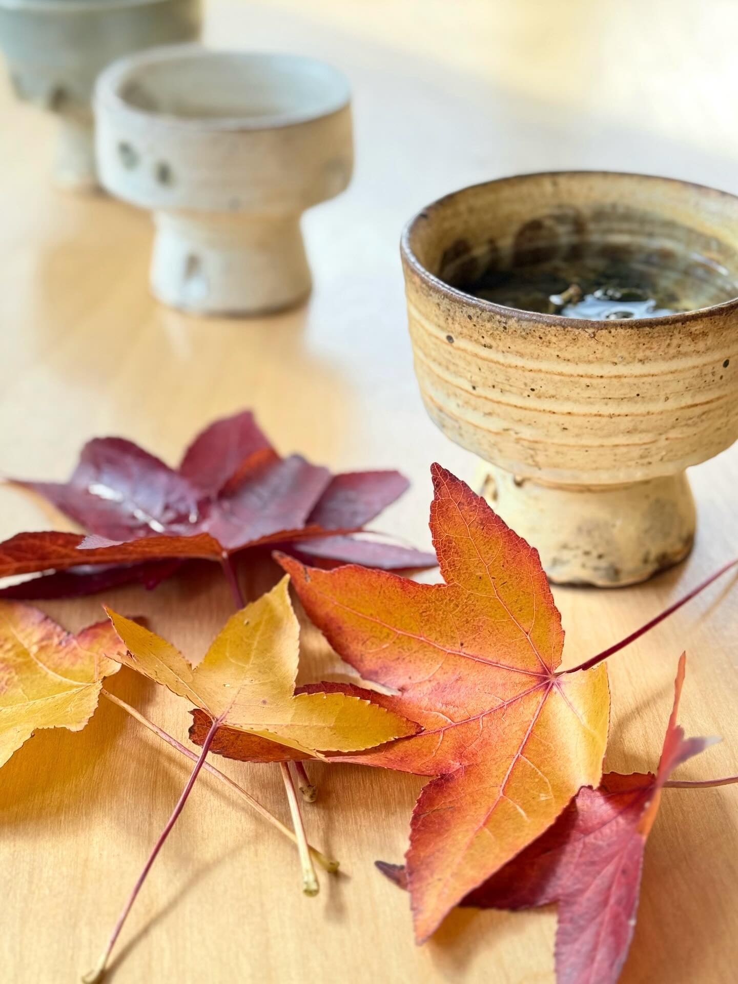Late Autumn Tea… Leaves in a Bowl is moving to Cold Spring, NY ~ Curious to see how the journey will unfold in this village farther north, perched on a magical bend in the Hudson River
#autumntea #oolong @hartsoepottery #yunomi from my new favorite gallery @studio_tashtego