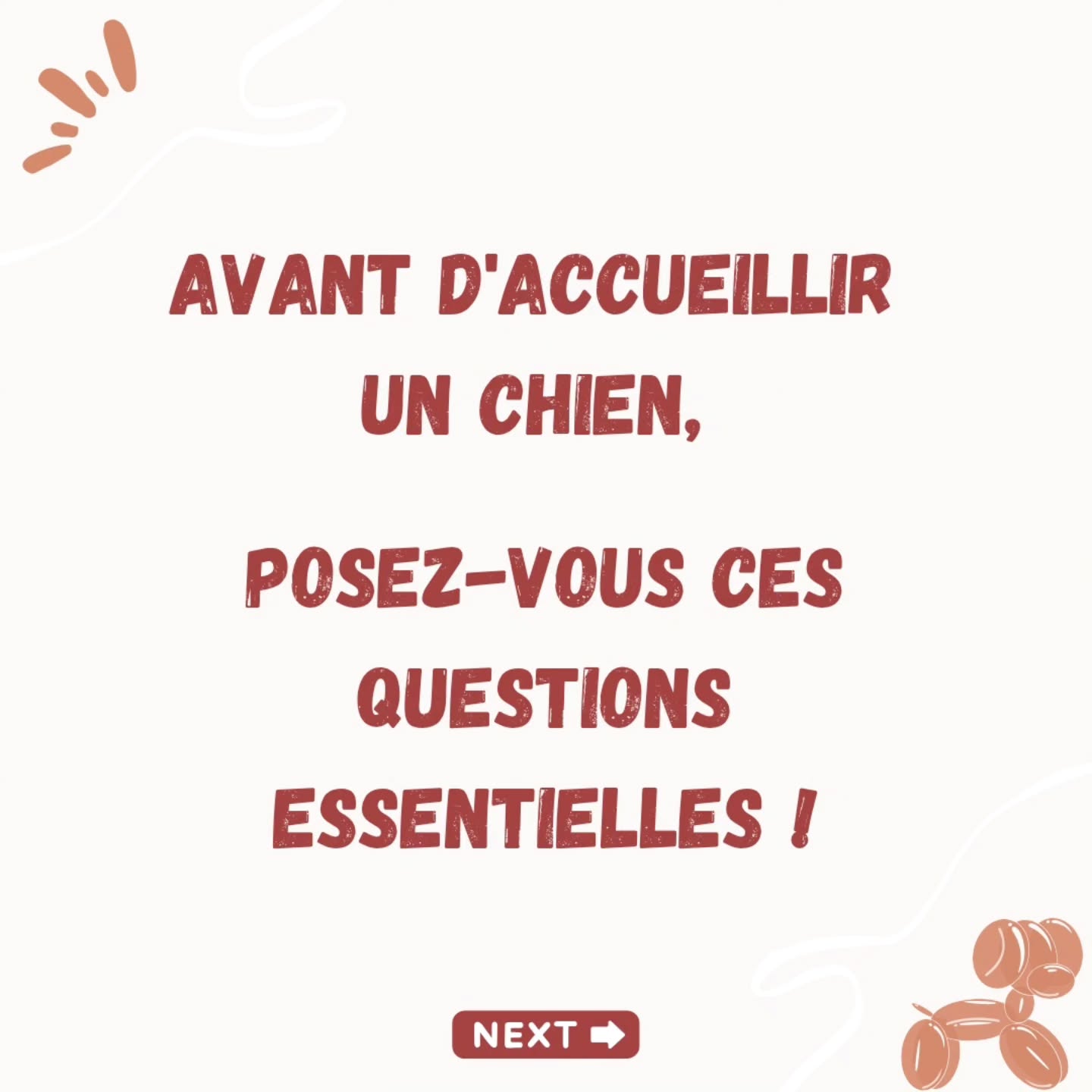 Bon on est bien d'accord qu'il existe 10 000 autres questions à se poser avant d'accueillir un chien/chiot (en tout cas moi je m'en suis posées énormément 😆) mais le post aurait été TRÈÈÈÈS (trop) LONG alors je me suis limitée à 5 😅
D'ailleurs je serai curieuse de savoir quelle est pour vous LA QUESTION la plus importante avant de sauter le pas, où celle qui vous vient instinctivement ? 🙈