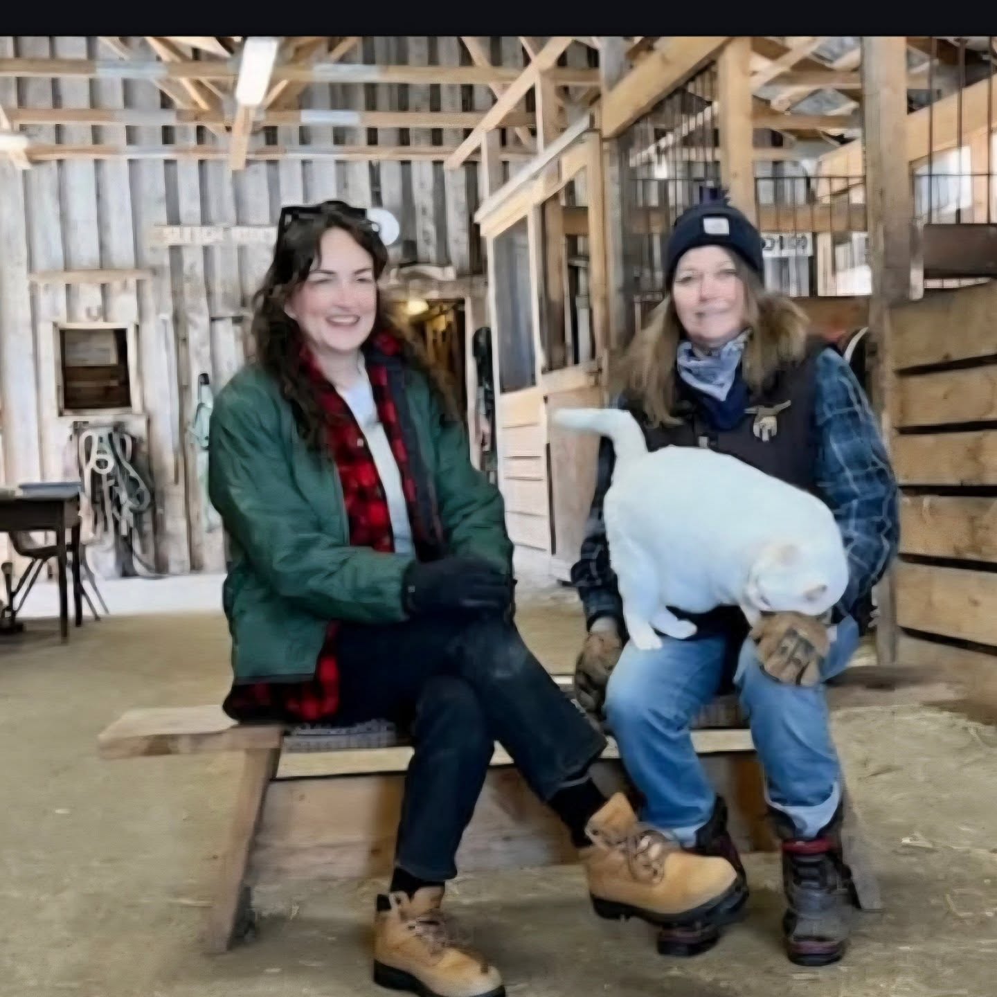 Today we bid farewell to our barn mascot and friend to all, Spaghetti. He was with us for over 15 years. He was not just a barn cat he was everyone's friend who came here over the years. He was the greeter of guests, the protector of his pal Mischief, he was a Spirit Reins Ranch ambassador when important people showed up to do TV interviews! He comforted, consoled and loved everyone.He was a stealth hunter of mice & ermines! We will sure miss you ol boy. In loving memory of Spaghetti 2010-2025. ๐๐ฑ may you rest in peace. #barnfamily #furbaby #spaghettithewhitecat #barnmascot