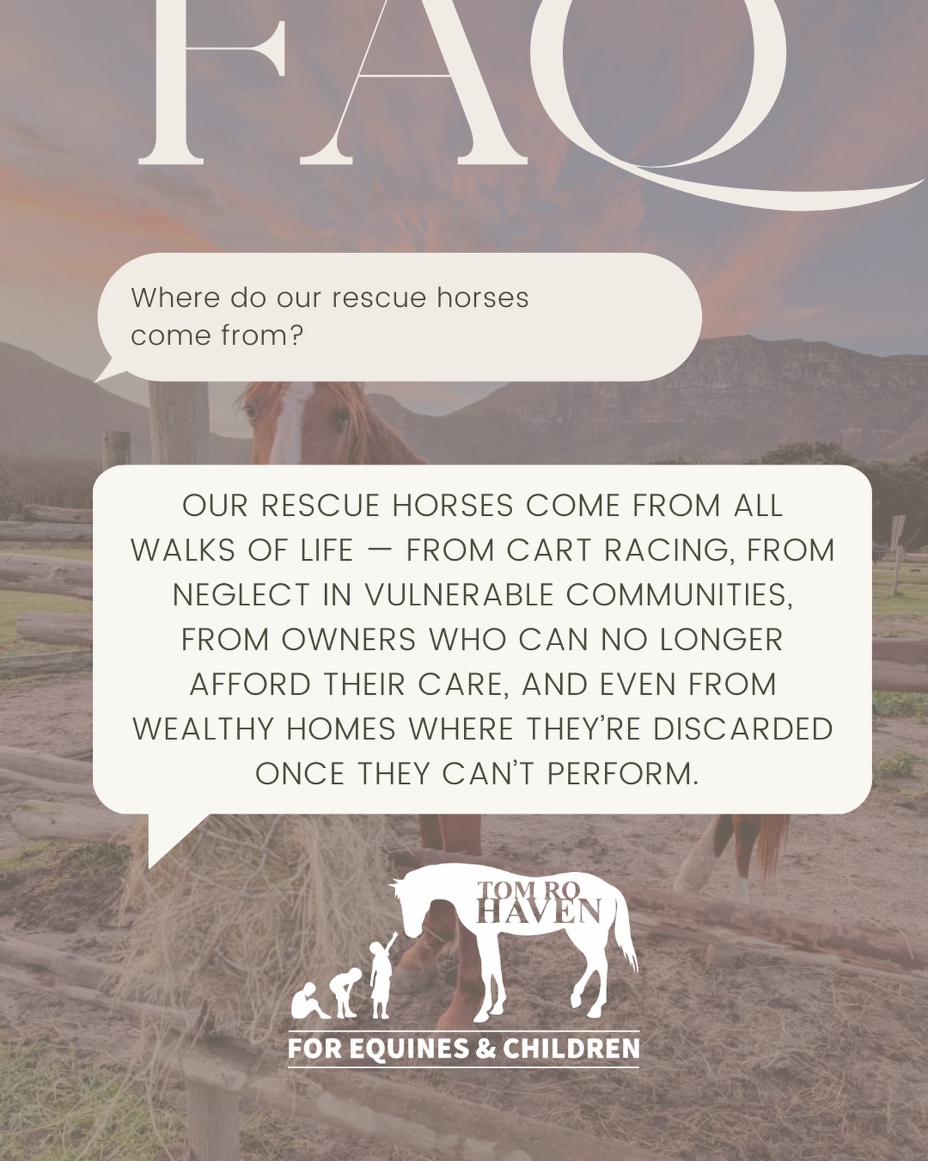 Where do our rescue horses come from?
From all walks of life. 🐴💛
Some are saved from cart racing…
Some from neglect in vulnerable communities…
Some from owners who could no longer afford their care…
And a few from wealthy homes where they were discarded once they could no longer perform — perhaps the saddest of all, because these horses gave everything and still deserved love.
Every horse has a story.
At Tom Ro Haven, we give them a second chance. 🤍
You can help too by joining the herd from as little as R 100 / month. Visit www.tomrohaven.org.za