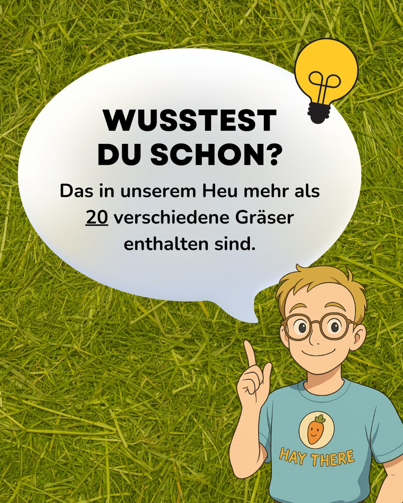 Wusstest du schon…? 🤓
In unserem Heu stecken über 20 verschiedene Gräser. Diese Vielfalt entsteht, indem wir unser Grünland naturnah pflegen, den Boden stärken und den Pflanzenbestand gezielt weiterentwickeln. Alles angepasst an unsere Berglagen – und an das, was eure Fellnasen wirklich brauchen. 🐰🐹
Und wusstest du außerdem…
…dass genau diese Artenvielfalt für eure Lieblinge ❤️ ein echter Gamechanger ist? Mehr Arten = mehr Struktur, mehr Nährstoffe, mehr sekundäre Pflanzenstoffe, mehr Faserlängen… mehr VIELFALT. 🌈 Perfekt für Zahnabrieb, Verdauung und Beschäftigung.
Bei uns wachsen u. a.: Wiesenlieschgras, Knaulgras, Wiesen-Schwingel, Wiesenrispe, Weidelgras, Wolliges Honiggras, Rotschwingel, Straußgras …und weitere Lieschgras-Verwandte. 🌱✨
Zum Vergleich:
Auf intensiv gedüngten Flachlandwiesen wachsen oft nur 5–8 Grasarten. Auf extensiven Bergwiesen wie unseren können dagegen 20–30 Arten stabil miteinander wachsen. 👍
Wie wir es schaffen, so viele Arten zu erhalten?
Weil wir unsere Wiesen weder „überfahren“ noch „überdüngen“. Wir arbeiten im richtigen Takt, geben dem Boden Zeit und unterstützen genau die Arten, die unsere Bergwiesen ausmachen. So bleibt der Bestand bunt, gesund und stabil – Jahr für Jahr. 💚 (Und ja – seit 1888 machen wir das so. Tradition verpflichtet 😉)
Habt ihr gewusst, dass so viele Gräser in unserem Bergwiesenheu stecken? Schreibt’s gern in die Kommentare! 👇🌱