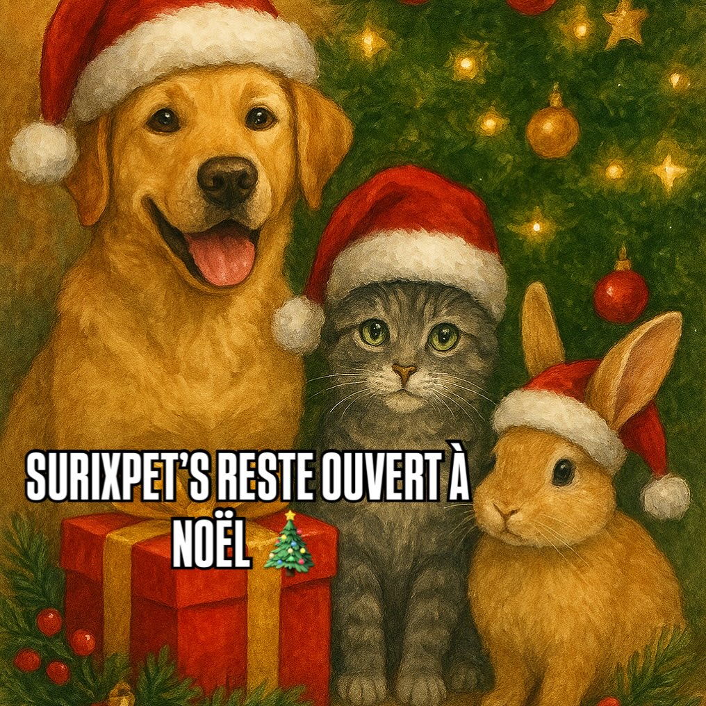 🎅 Bonne nouvelle ! Surixpet’s ne prend pas de congés pour Noël et nouvel an🎄🐾
Câlins, jeux et gardes disponible 24h/24 pour vos animaux adorés ❤️
📩 Pensez à réserver votre place rapidement directement sur mon site ou en message privé !
__________________
Www.surixpets.com
* image généré par IA
#petsitter #nantes #noel #gardechien #gardechat #promenade