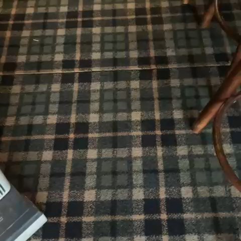 This carpet clean on Rochfords number ine boozer The Marlborough House.was done by the pretty perfect team..great pint of Guinness served by the lovely Landlord Stuart..thank you for your custom..for any queries..please DM or call/text 07969904180...
#prettyperfecthomeseevices #essexestateagent #essexcleaning #cleaning #essex #freshspaces #essexbusiness #essexlivingmagazine #carpetcleaning #carpetcleaning #benfleetessex #essexcleaningessex #rayleighessex #hockleyessex #leighonseaessexcleaning #leighonseaessex #hadleighessex #rochfordessex #laindonessex #Basildonessex #chalkwellessex #westcliffessex
@bearestateagents @haart_rayleighlettings @gilbertnroserayleigh @diggins_and_co_estate_agents#dog #dogrescue #southenddogs #rayleighdogs