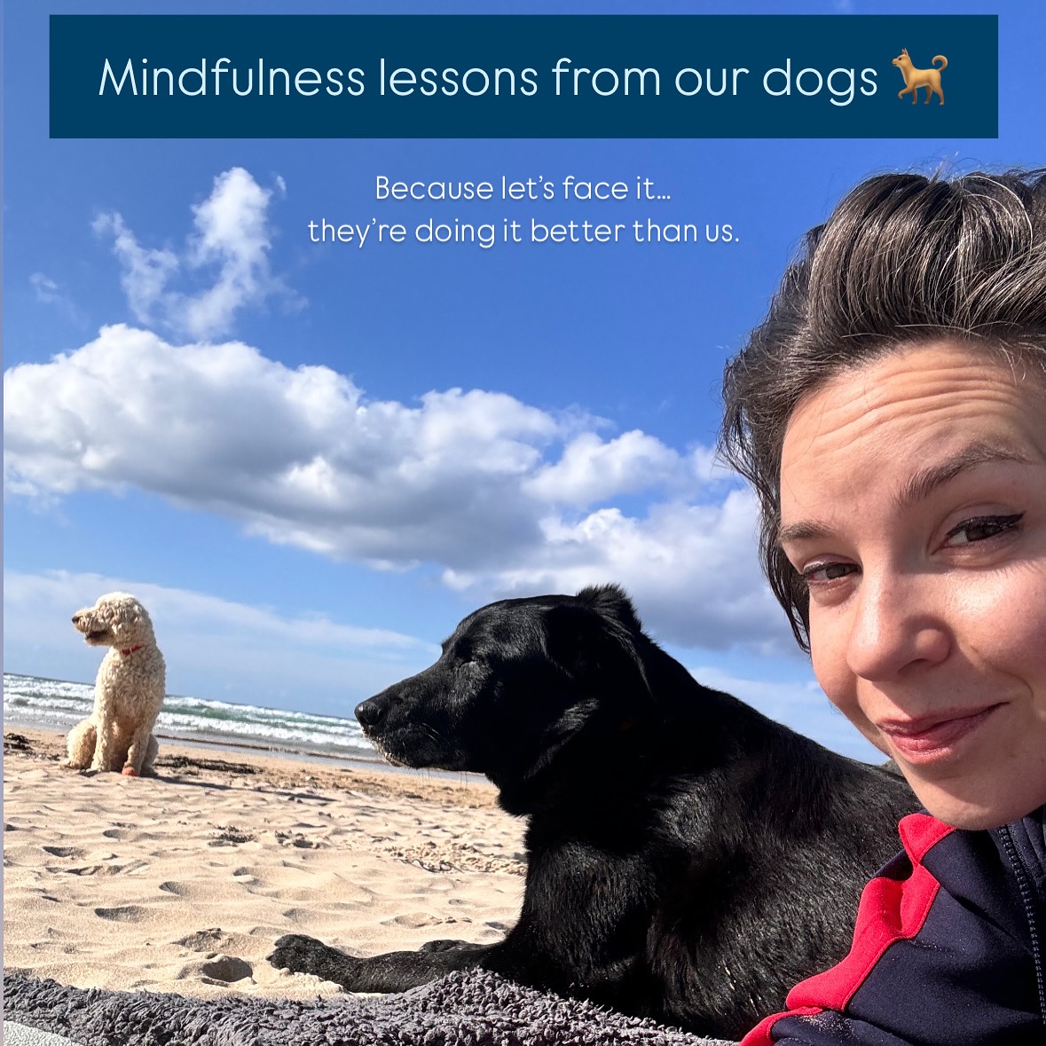 If only we all lived like our dogs for a day… honestly, they’ve mastered mindfulness without ever reading a single book 🐾🐕
Swipe through for some gentle reminders, dog wisdom and a few adorable faces to brighten your day.
If your dog could teach you one mindful habit… what would it be? 🐾✨