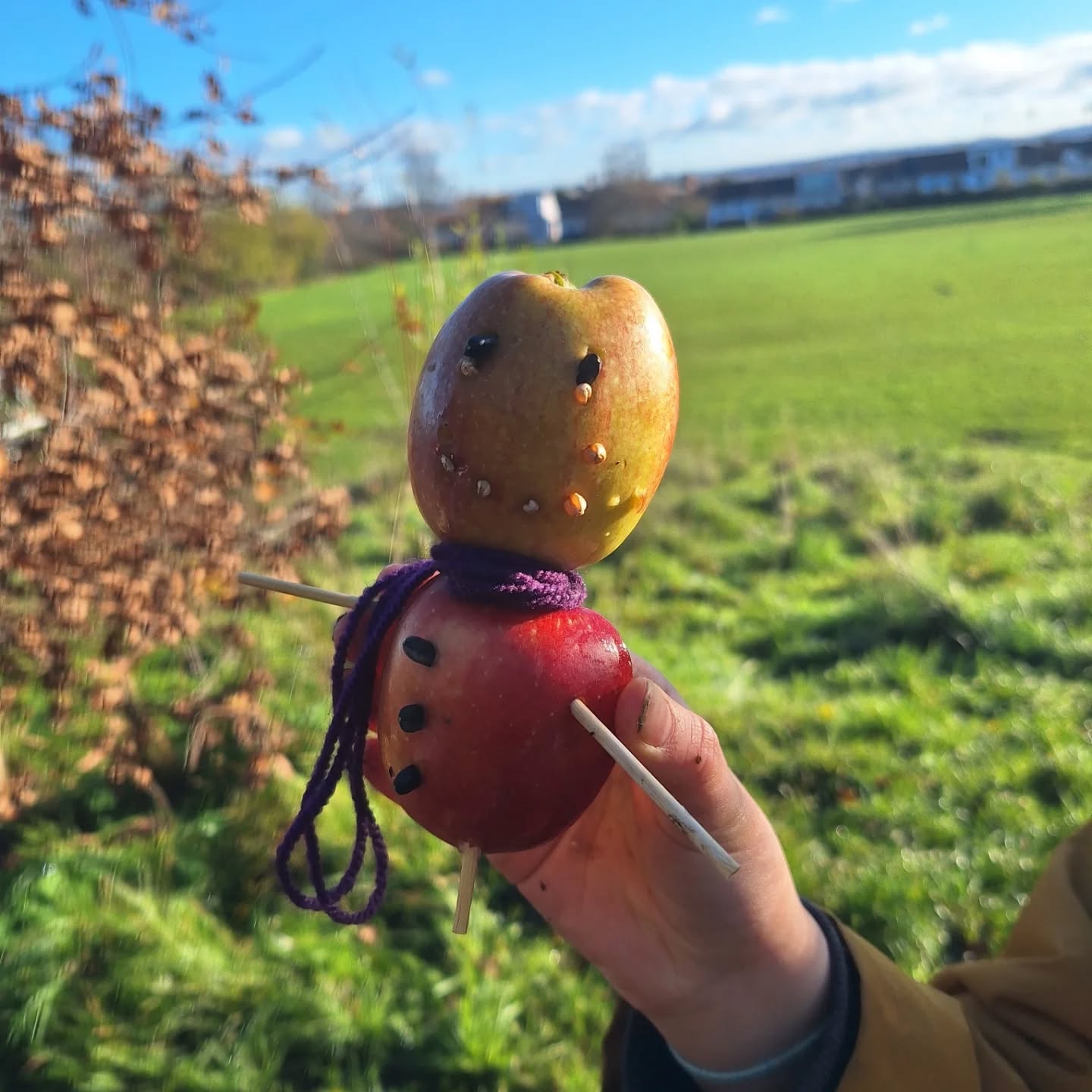 Apple bird feeders with a seasonal twist ☃️
Owl pellets which are like uncovering gruesome treasure. So exciting to find a skull 😆
Putting the allotment to bed for the winter & making teasel hedgehogs.
We've talked a lot about autumn animals this week and our school fox decided to make a guest appearance.
It's been a busy week!
#forestschool #outdoorlearning #autumn